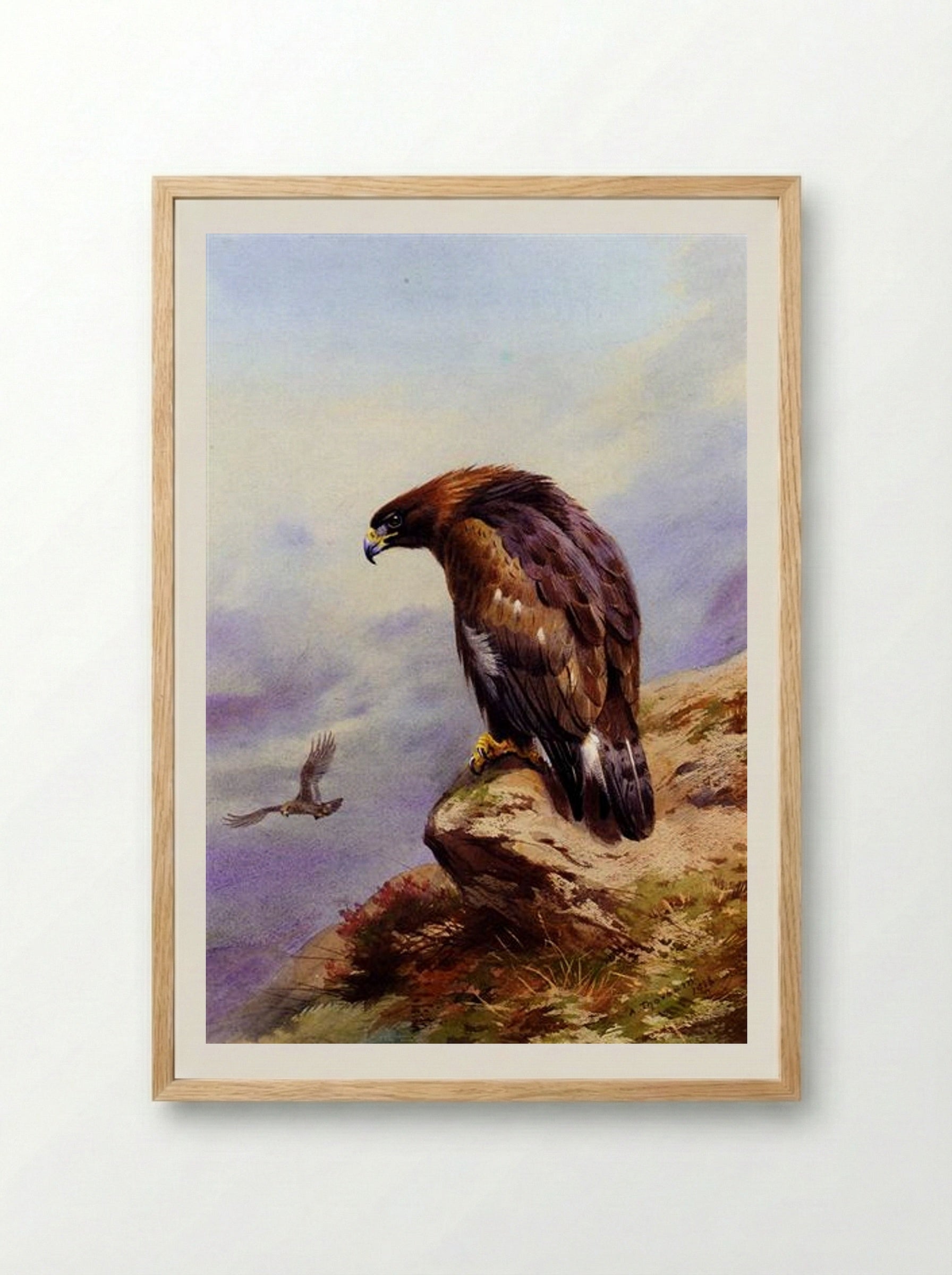 A Golden Eagle - Archibald Thorburn - Framed Print Wood