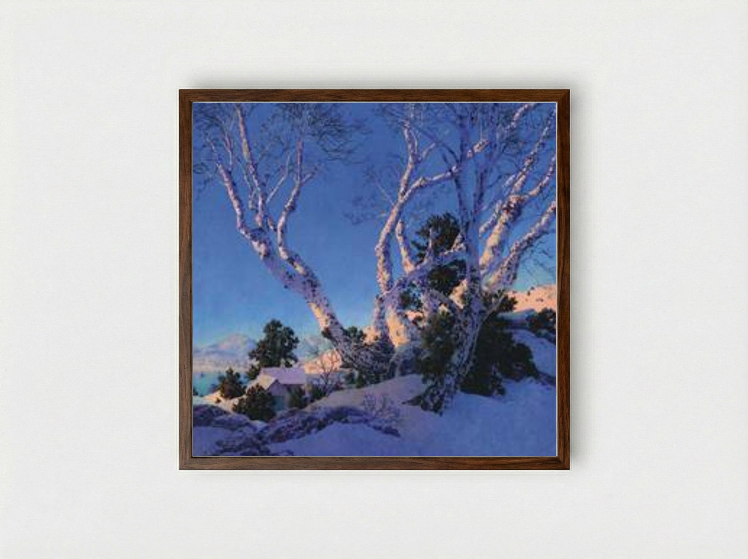 Birches in Winter - Maxfield Parrish - Framed Print Dark Wood