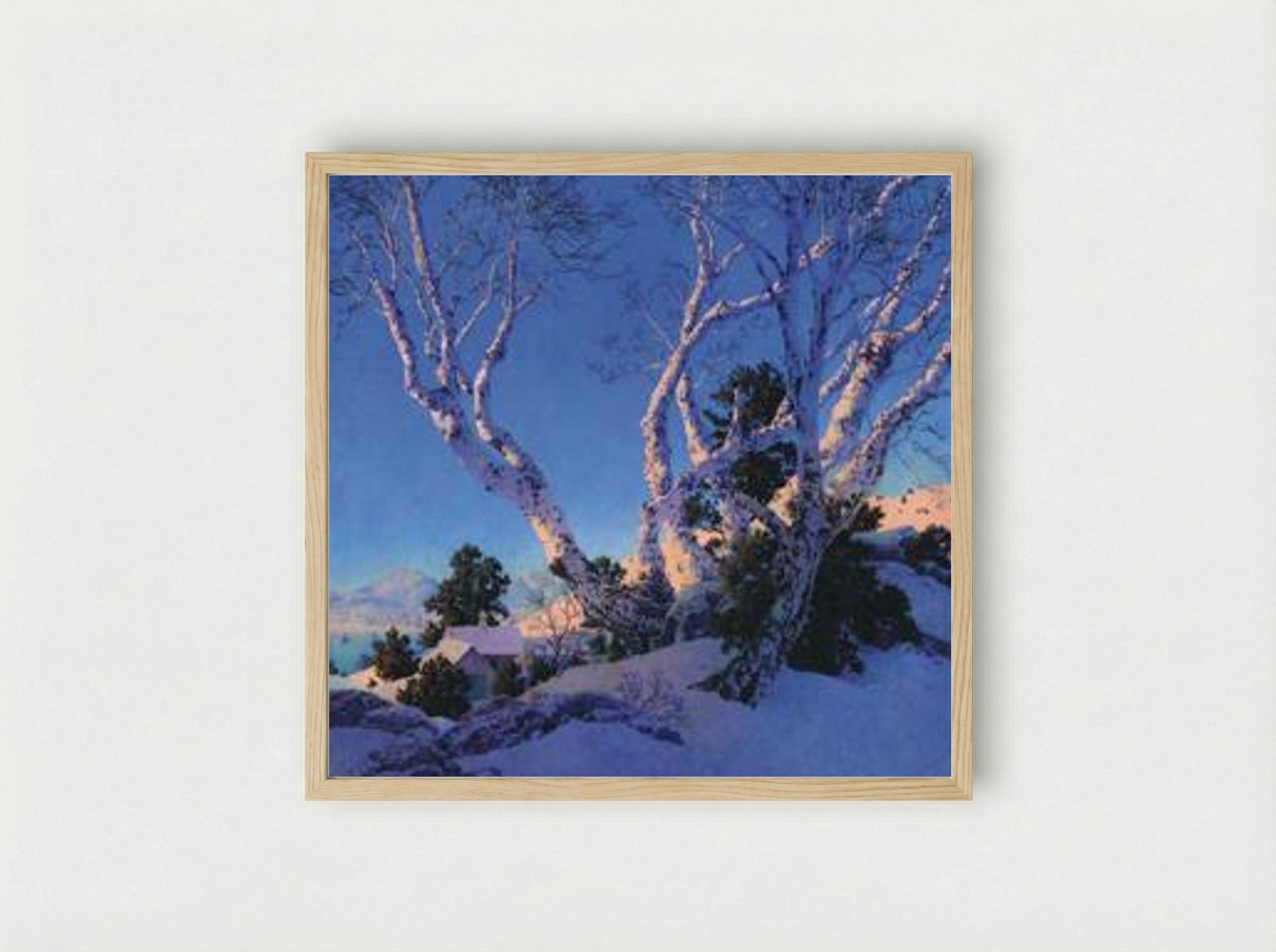 Birches in Winter - Maxfield Parrish - Framed Print Wood