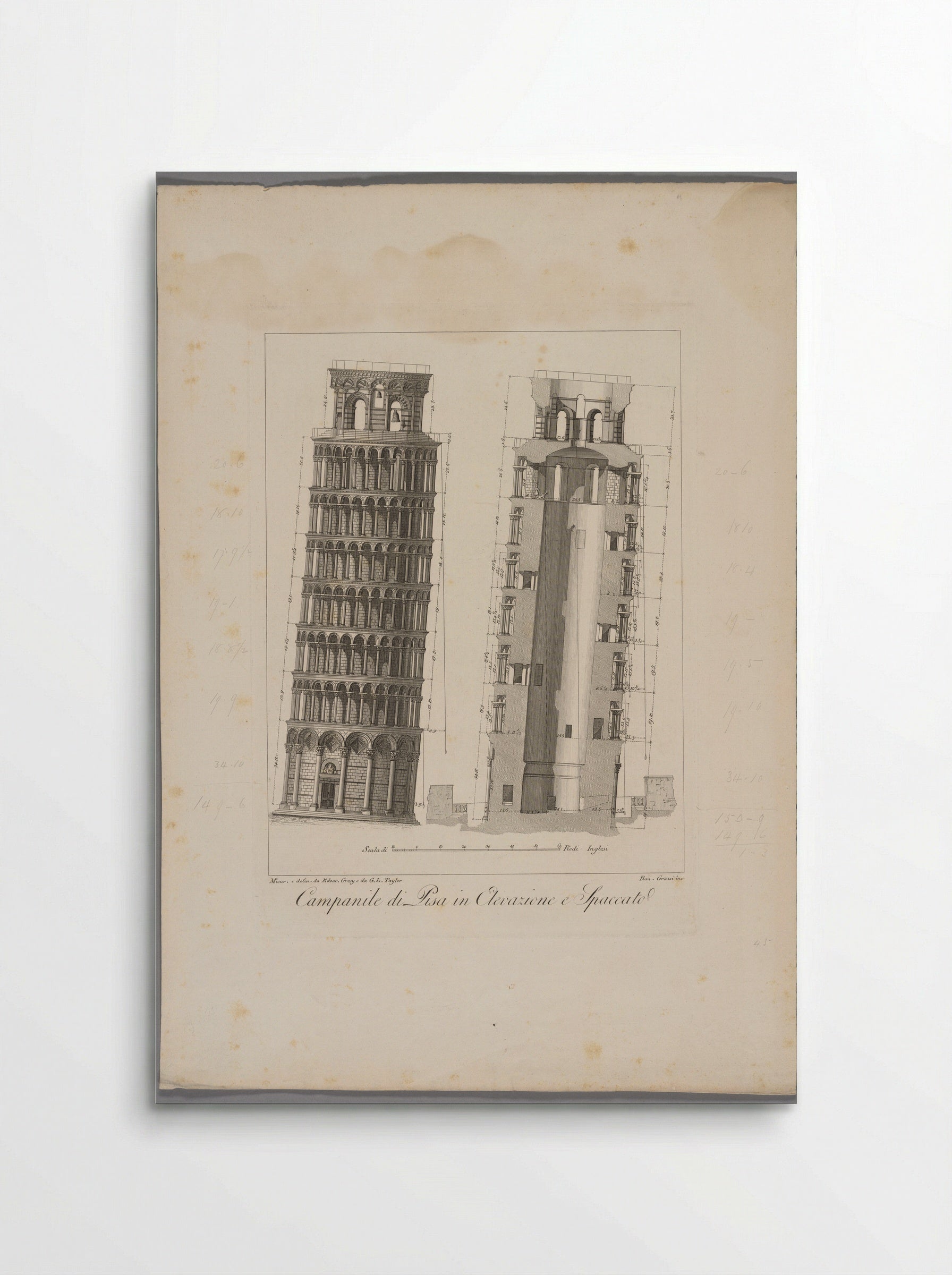 Campanile di Pisa in elevazione e spaccato - Raniero Grassi - Poster