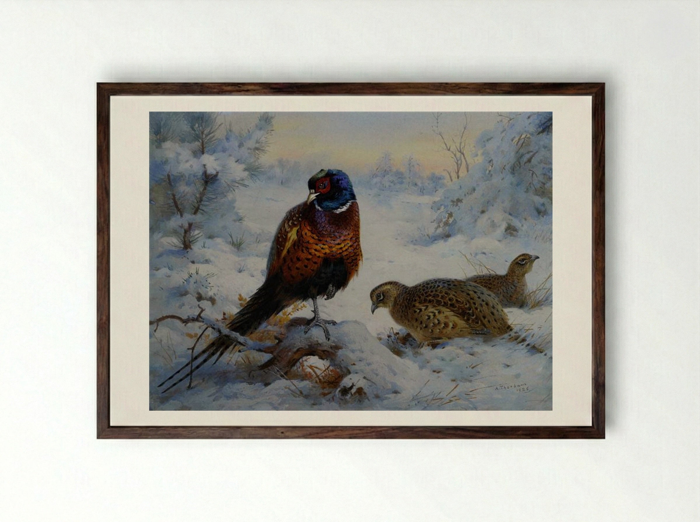 Cock and Hen Pheasant in Winter - Archibald Thorburn - Framed Print Dark Wood