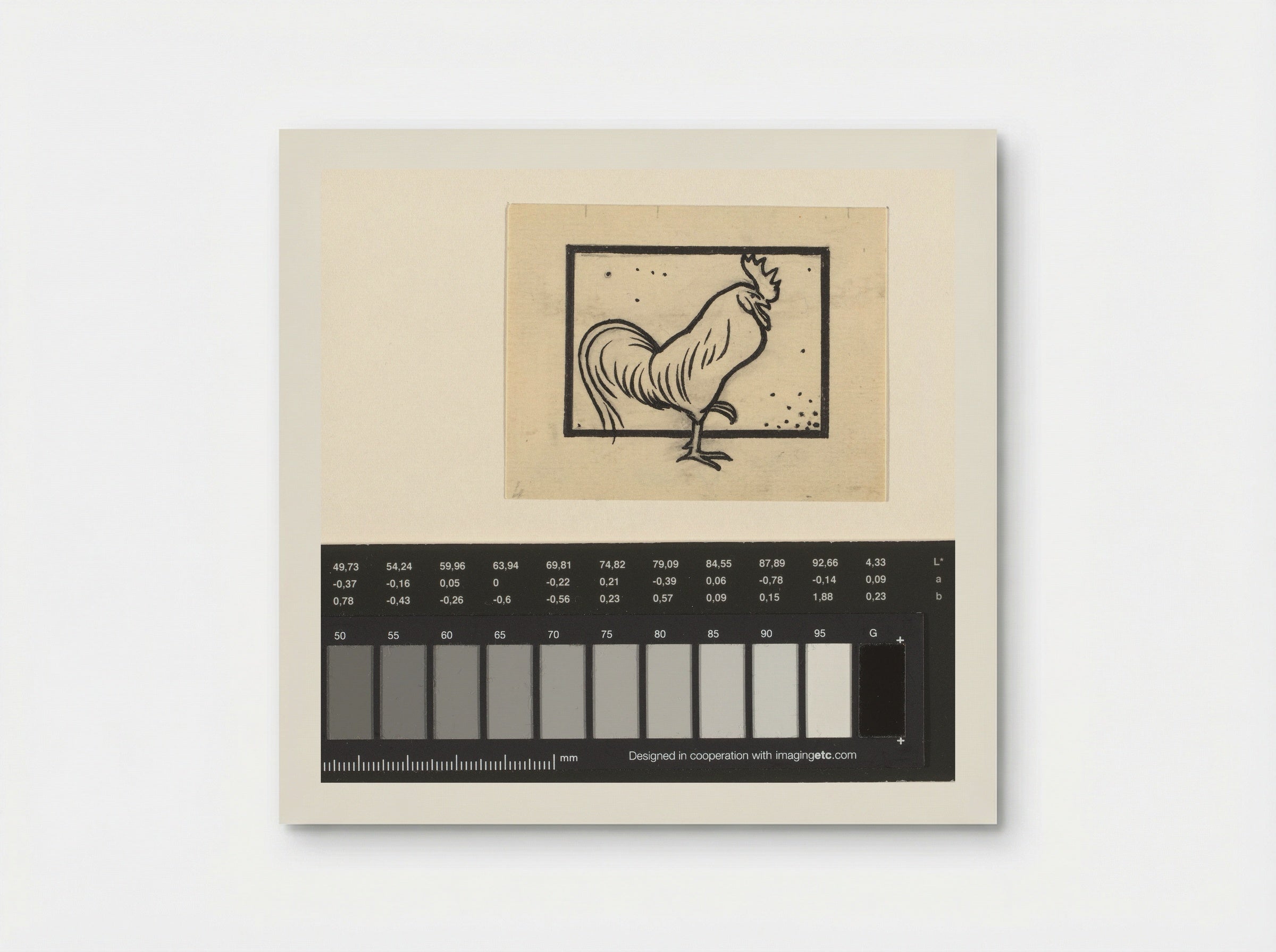 Haan (Rooster) - Julie de Graag - Poster
