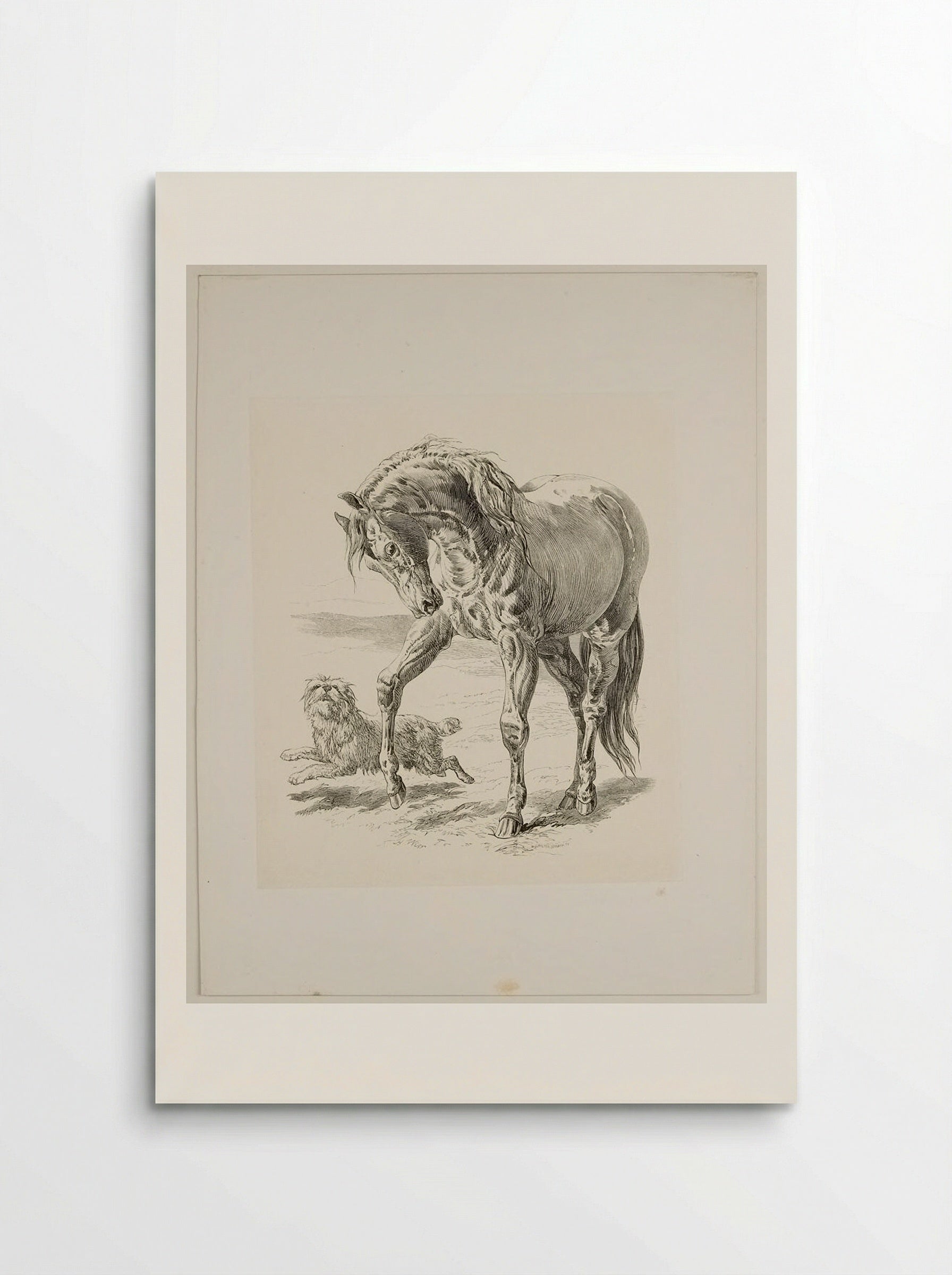 Horse and Dog - Walter Gorway - Poster