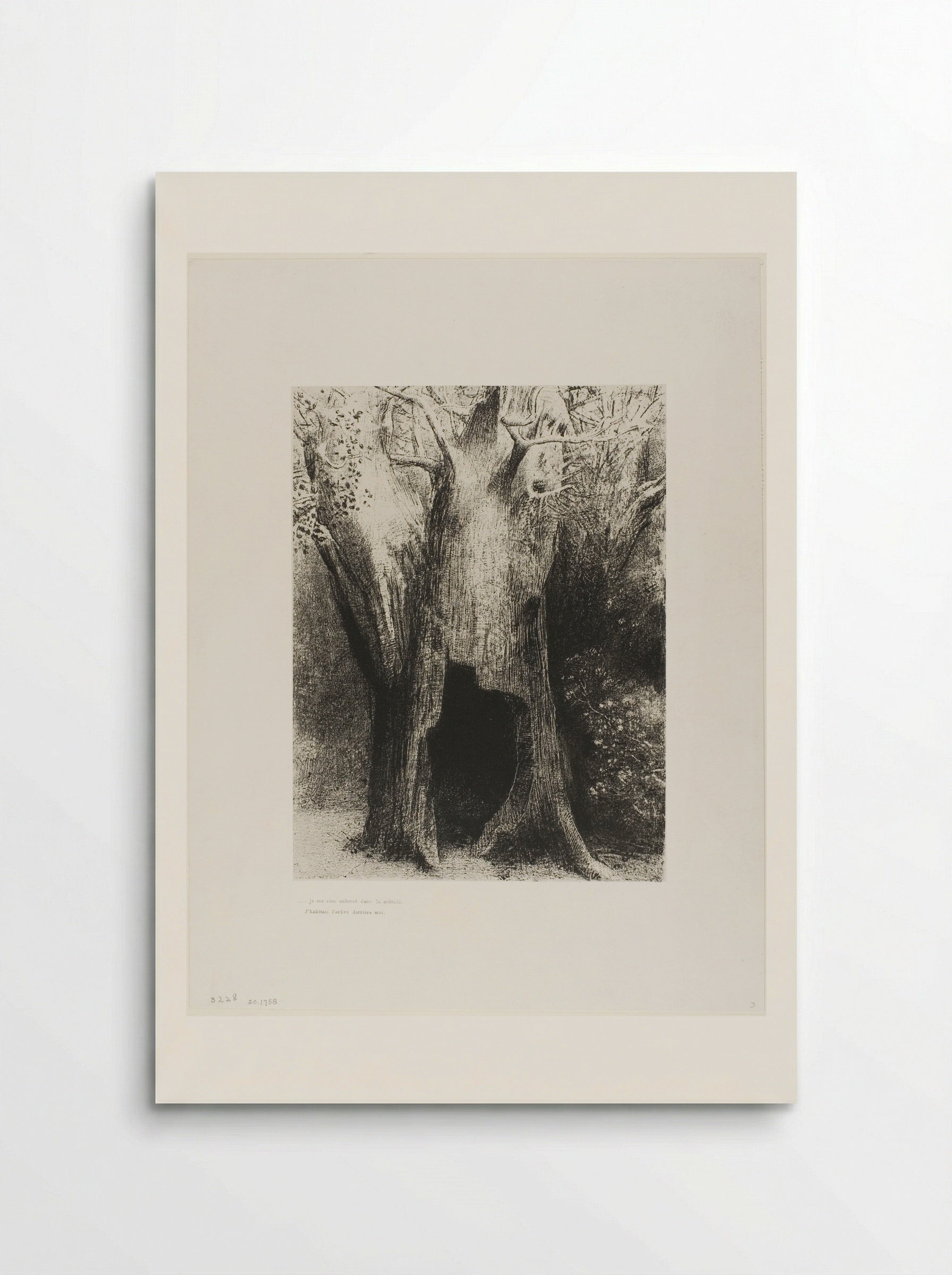 ...I Plunged into Solitude. I Dwelt in the Tree behind me. - Odilon Redon - Poster