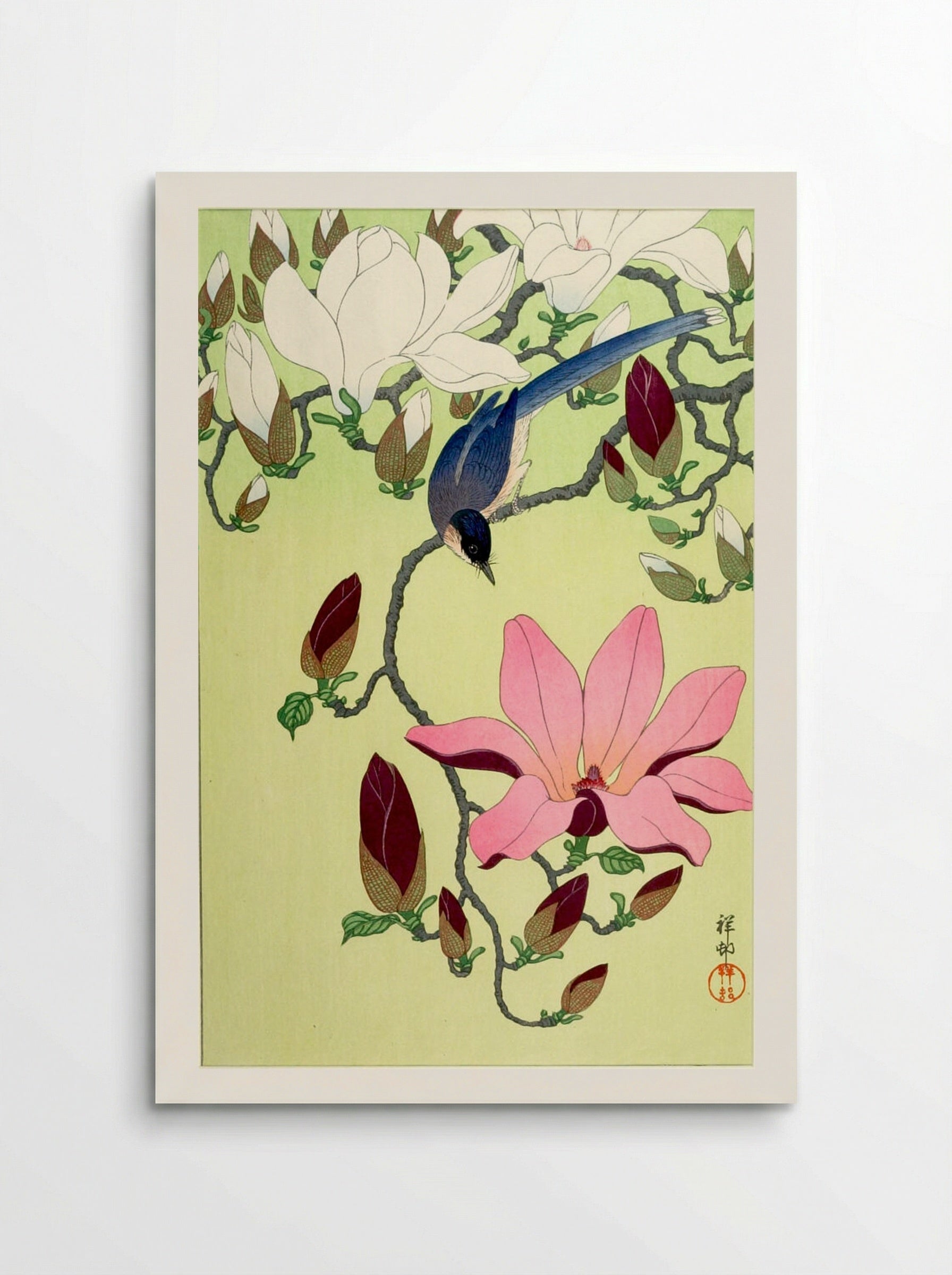 Magpie with Pink and White Magnolia Blossoms - Ohara Koson - Poster