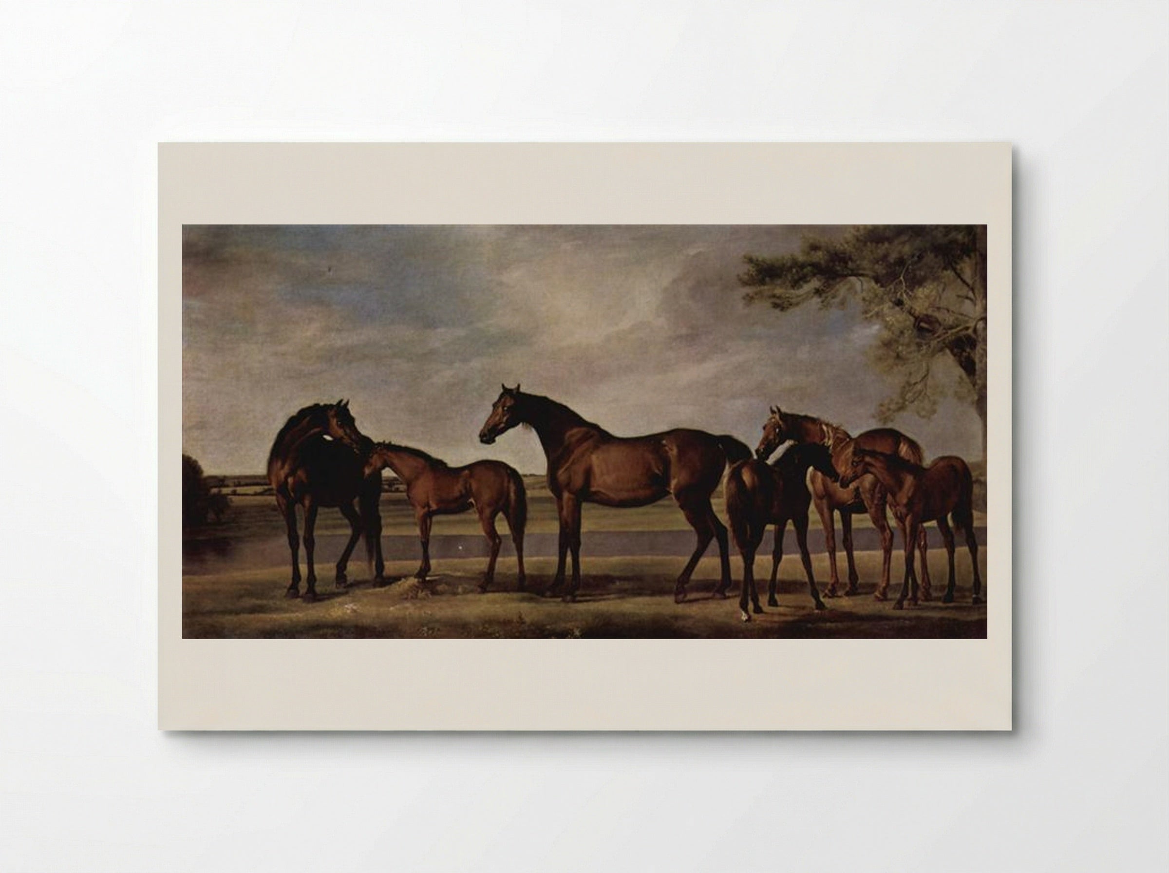 Mares and Foals in a River Landscape - George Stubbs - Poster