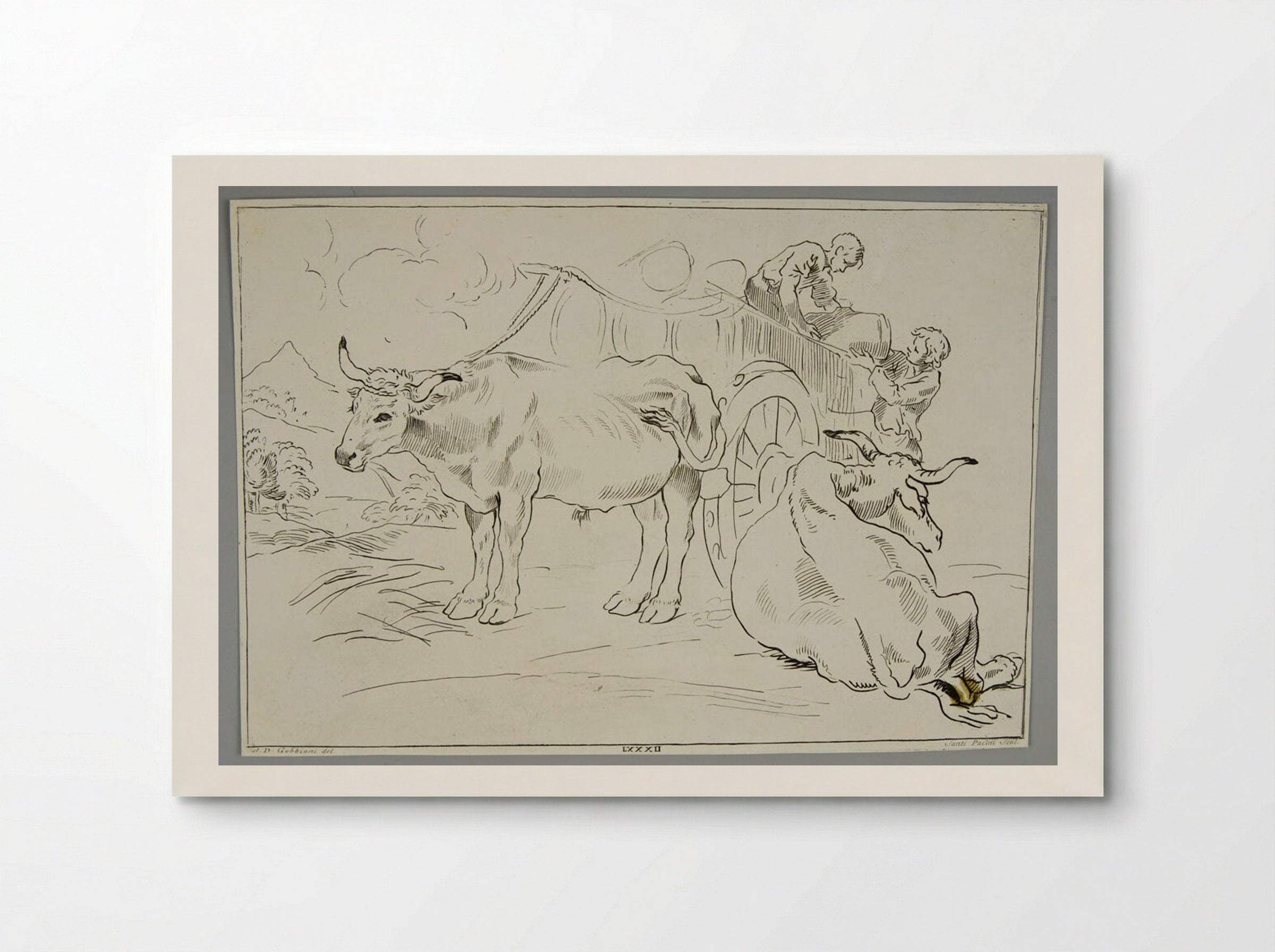 Oxen - Santi Pacini - Poster