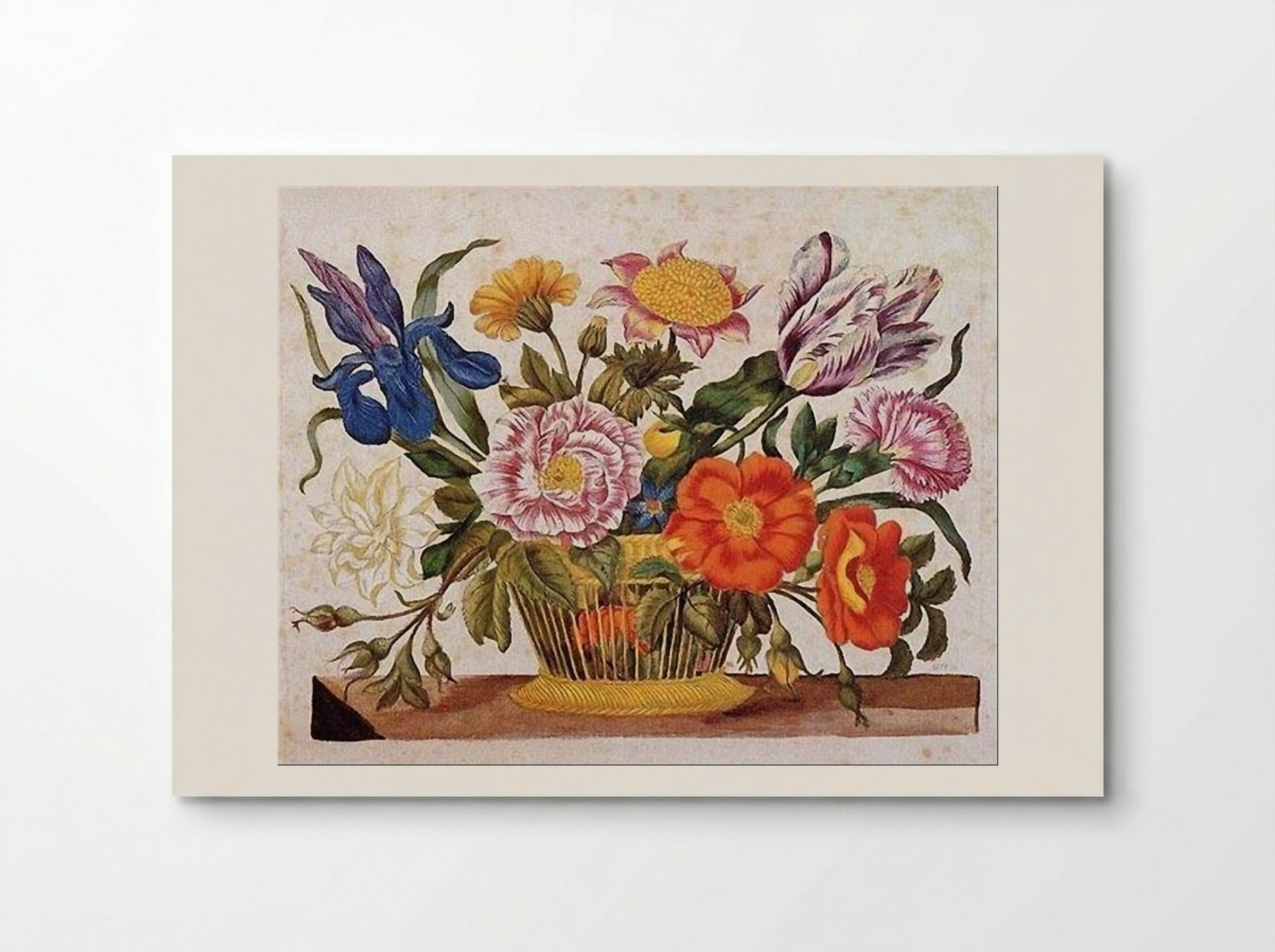Plate CLXIX from Der Raupen wunderbare Verwandlung und sonderbare Blumennahrung - Maria Sibylla Merian - Poster