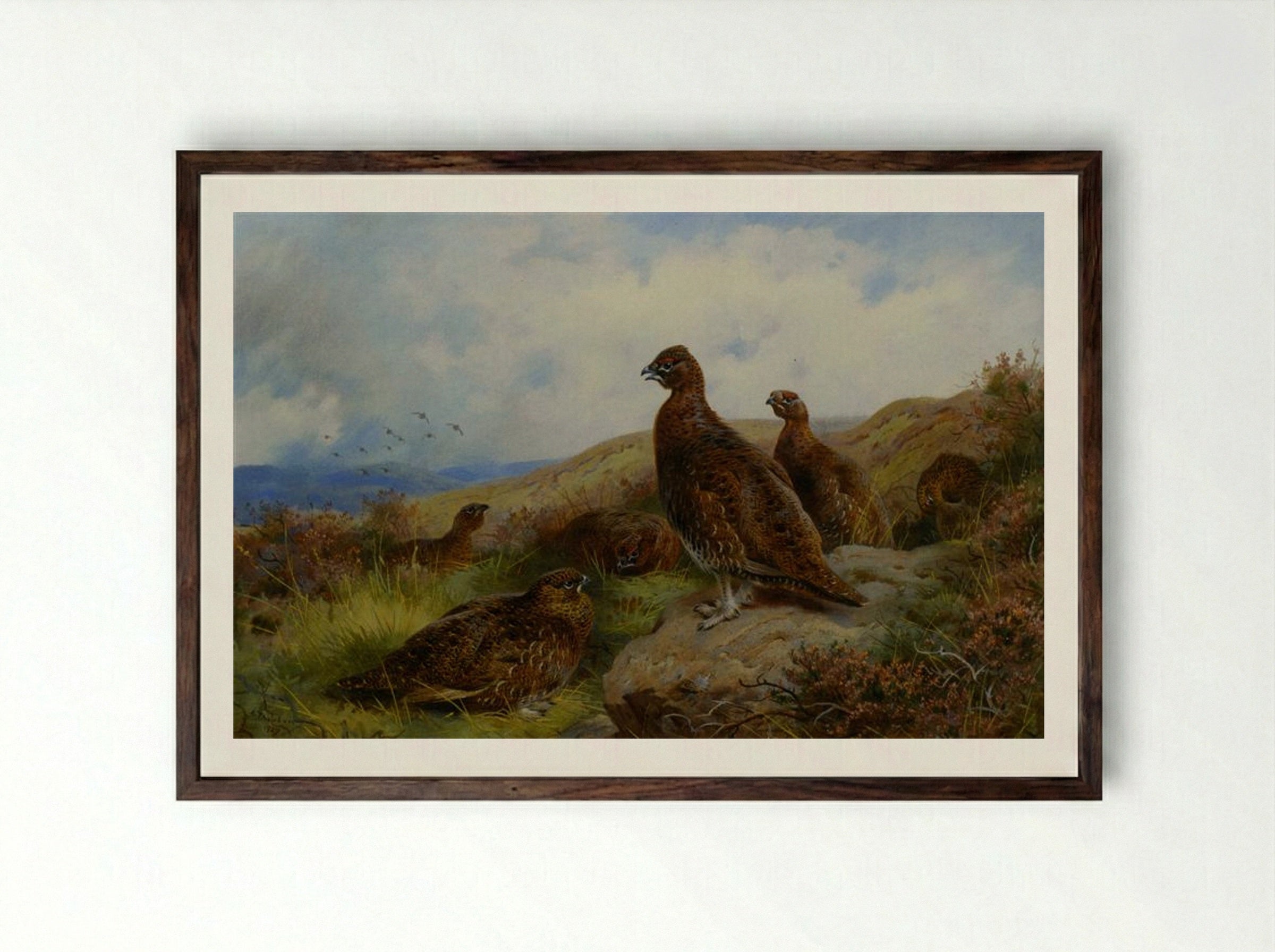 Red Grouse Packing - Archibald Thorburn - Framed Print Dark Wood