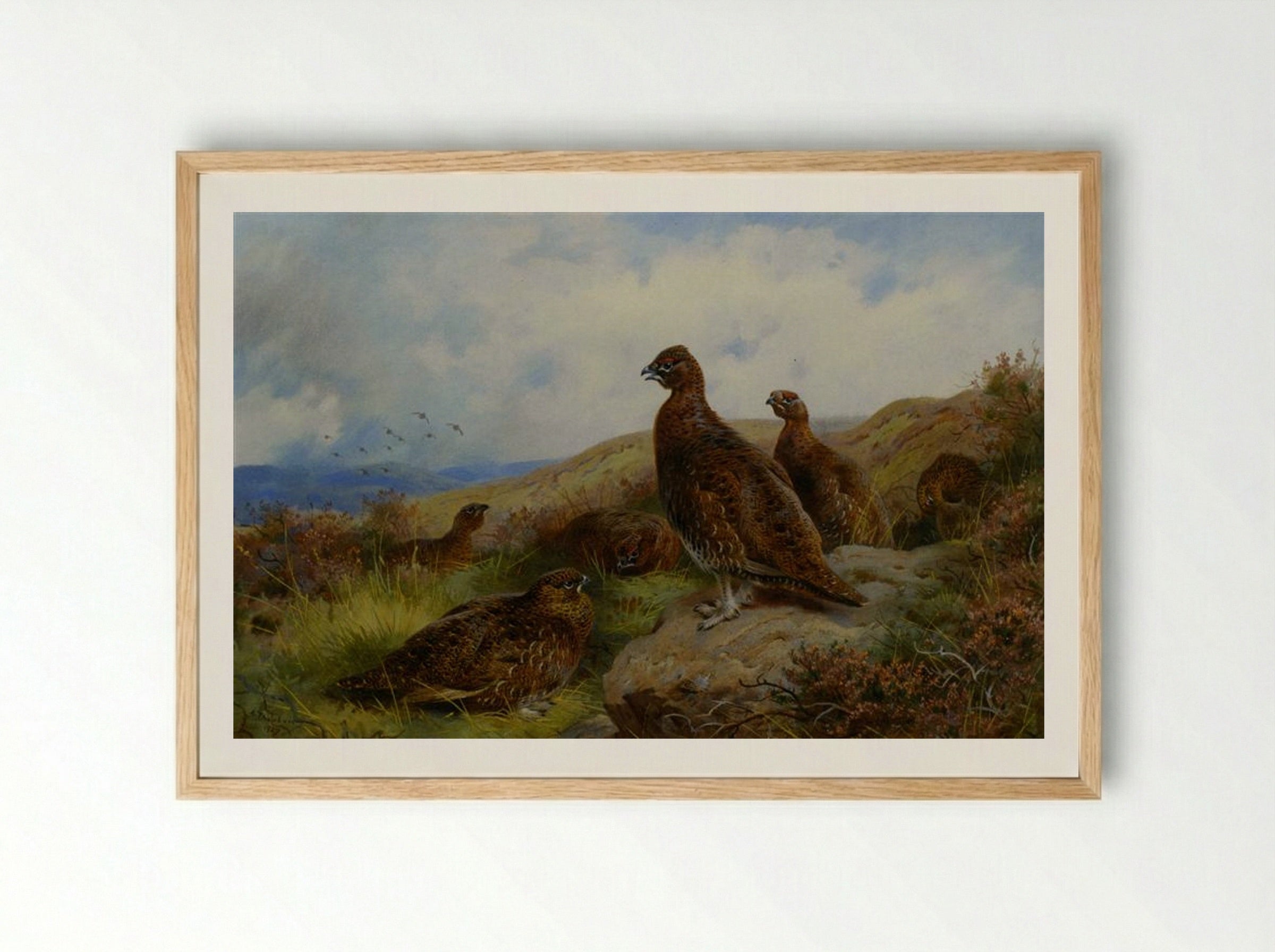 Red Grouse Packing - Archibald Thorburn - Framed Print Wood