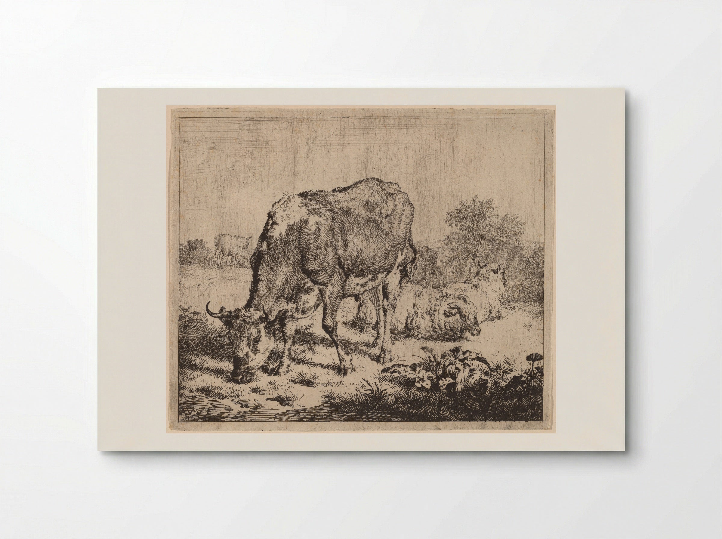Spotted Bull and Three Sheep - Adriaen van de Velde - Poster
