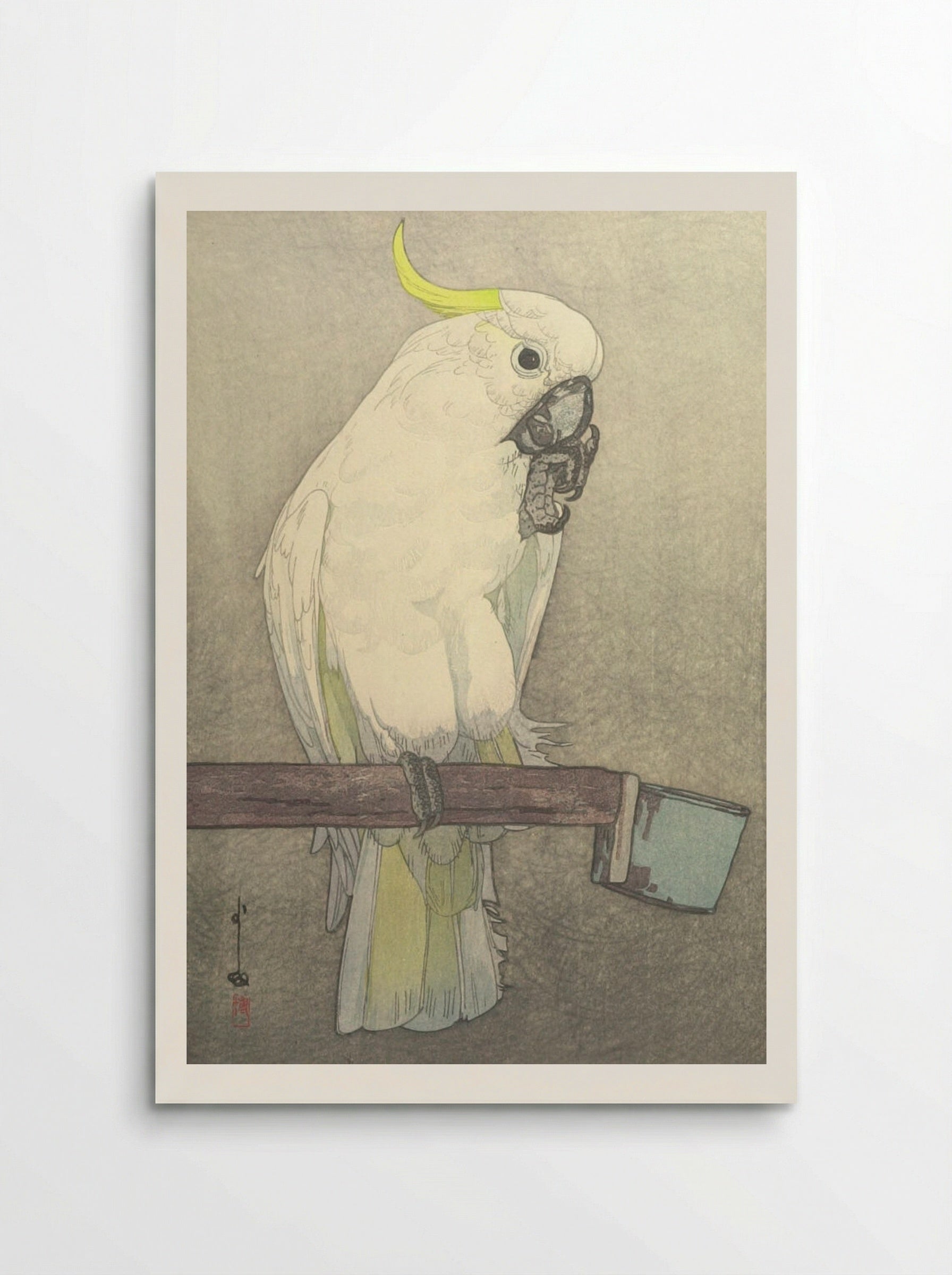 Sulphur-Crested Cockatoo - Yoshida Hiroshi - Poster
