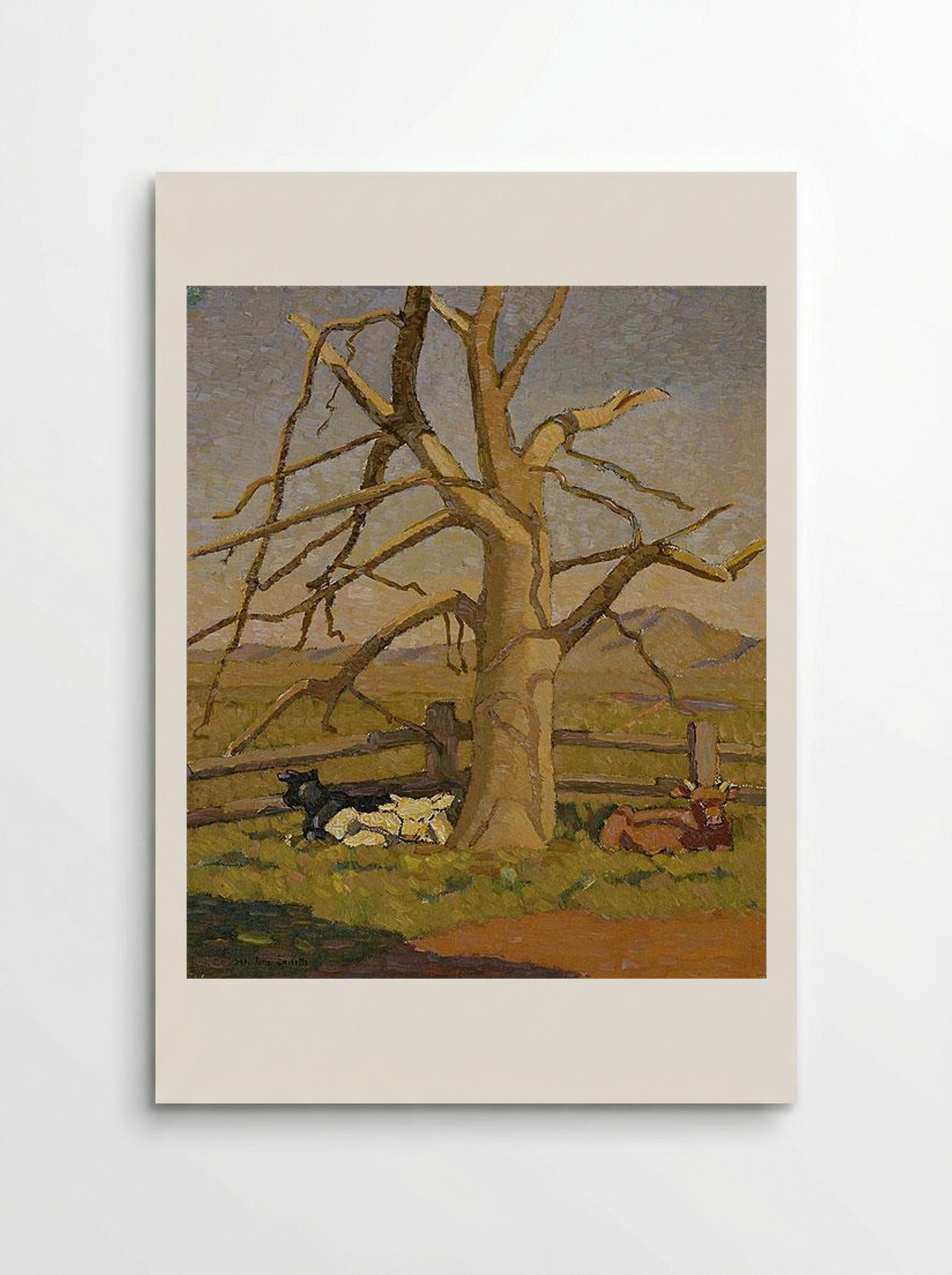 Sunny morning: Cows at Lanyon - Grace Cossington Smith - Poster