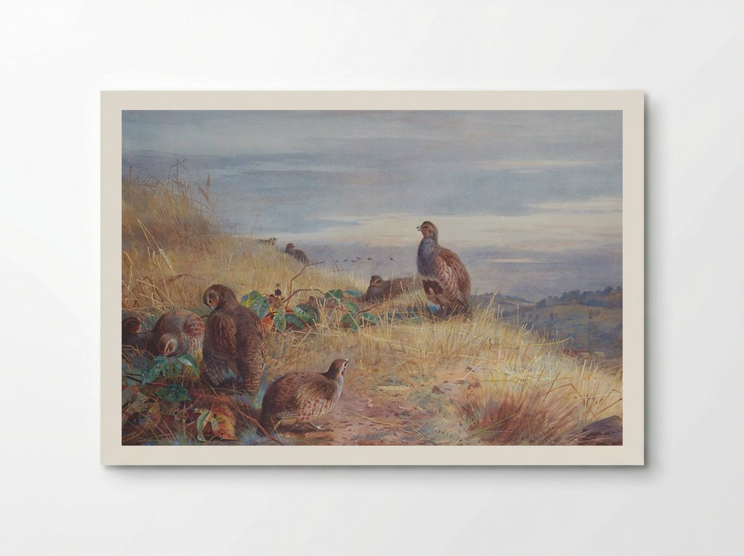 The Covey at Daybreak - Archibald Thorburn - Poster