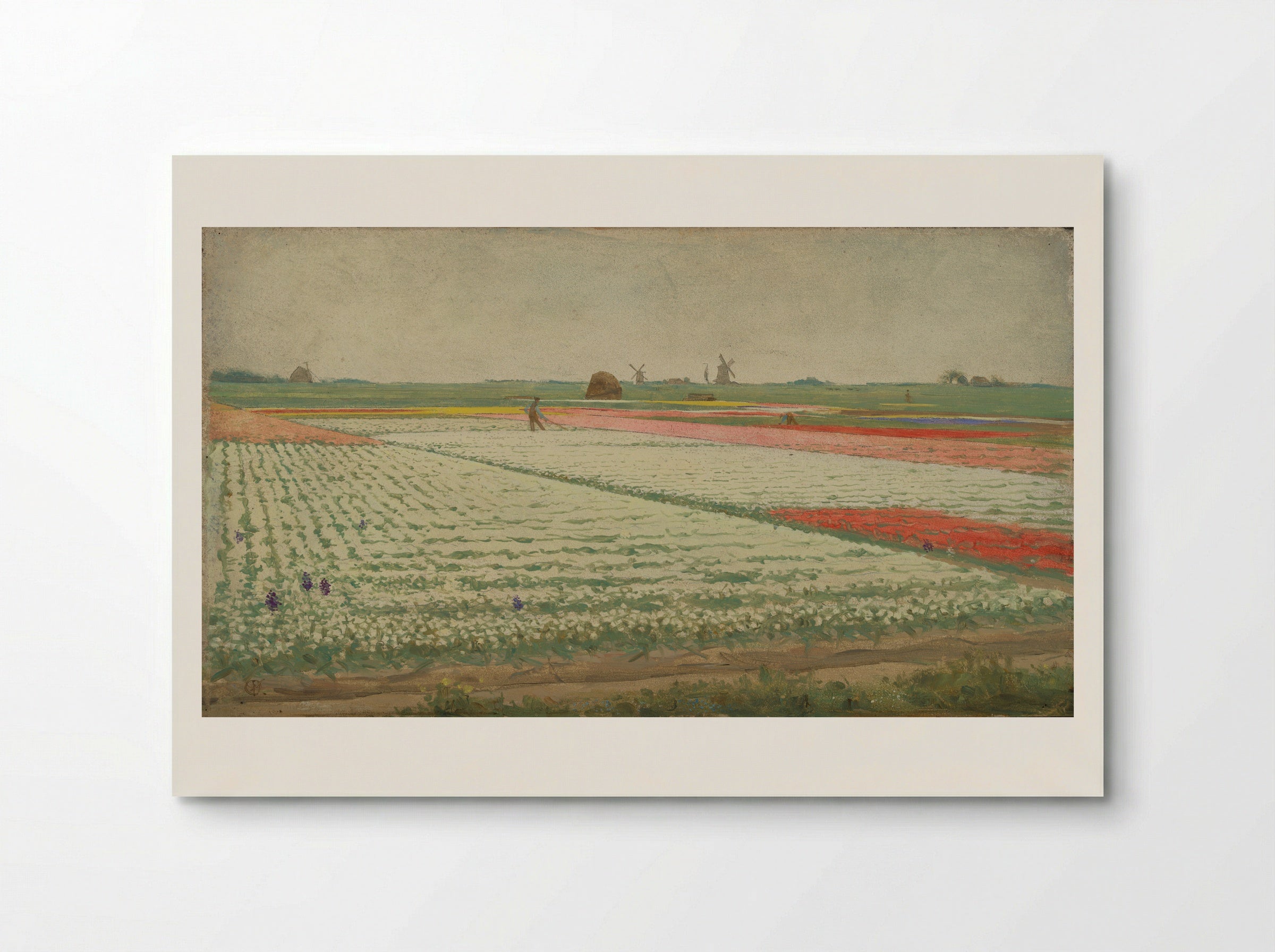 Tulpenvelden - Gerrit Willem Dijsselhof - Poster