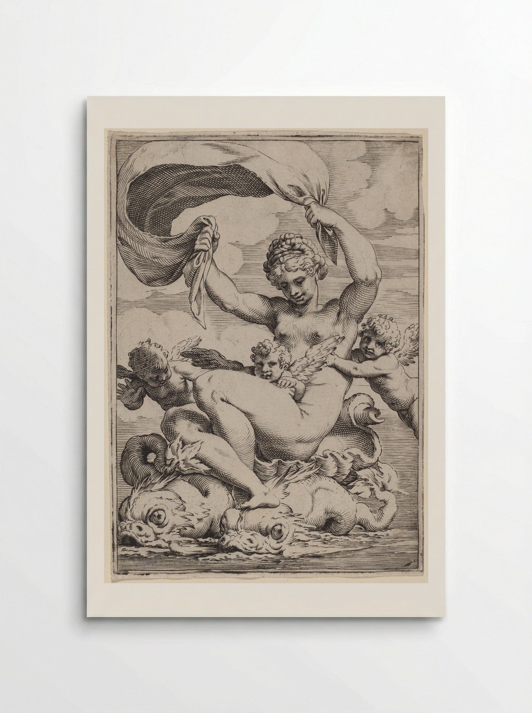 Venus Supported by Dolphins - Agostino Carracci - Poster