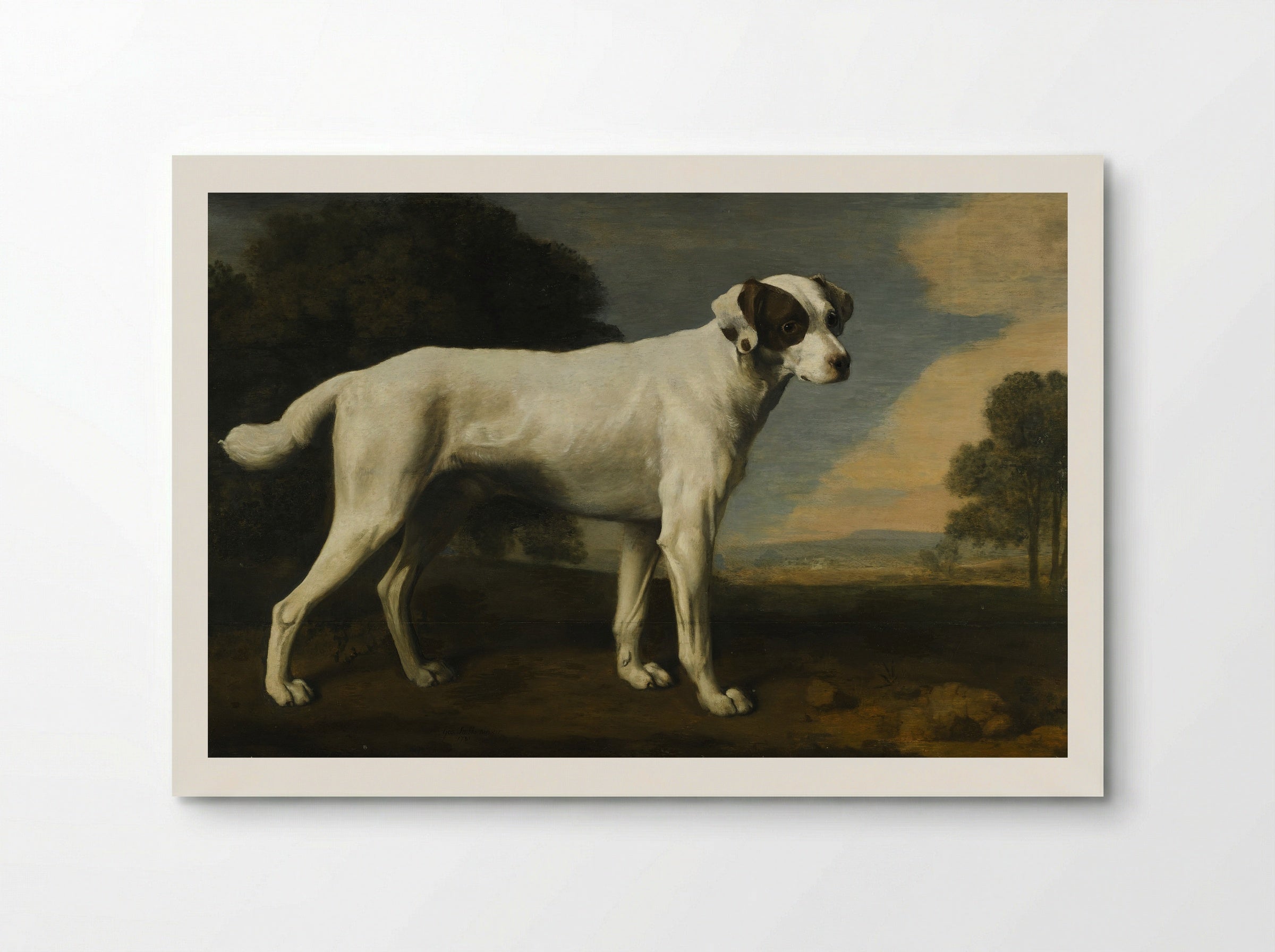 Viscount Gormanston's White Dog - George Stubbs - Poster