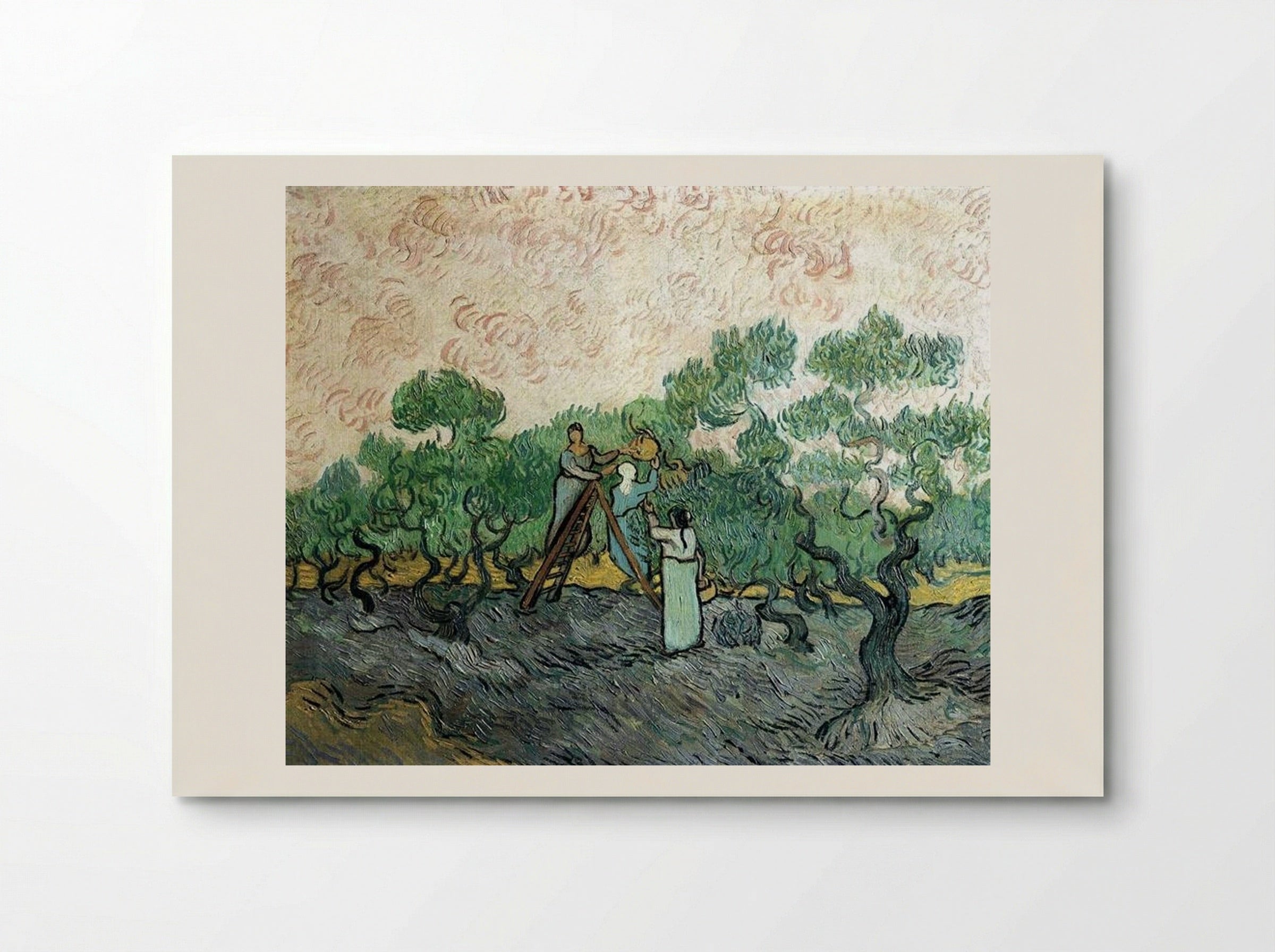 Women Picking Olives - Vincent van Gogh - Poster