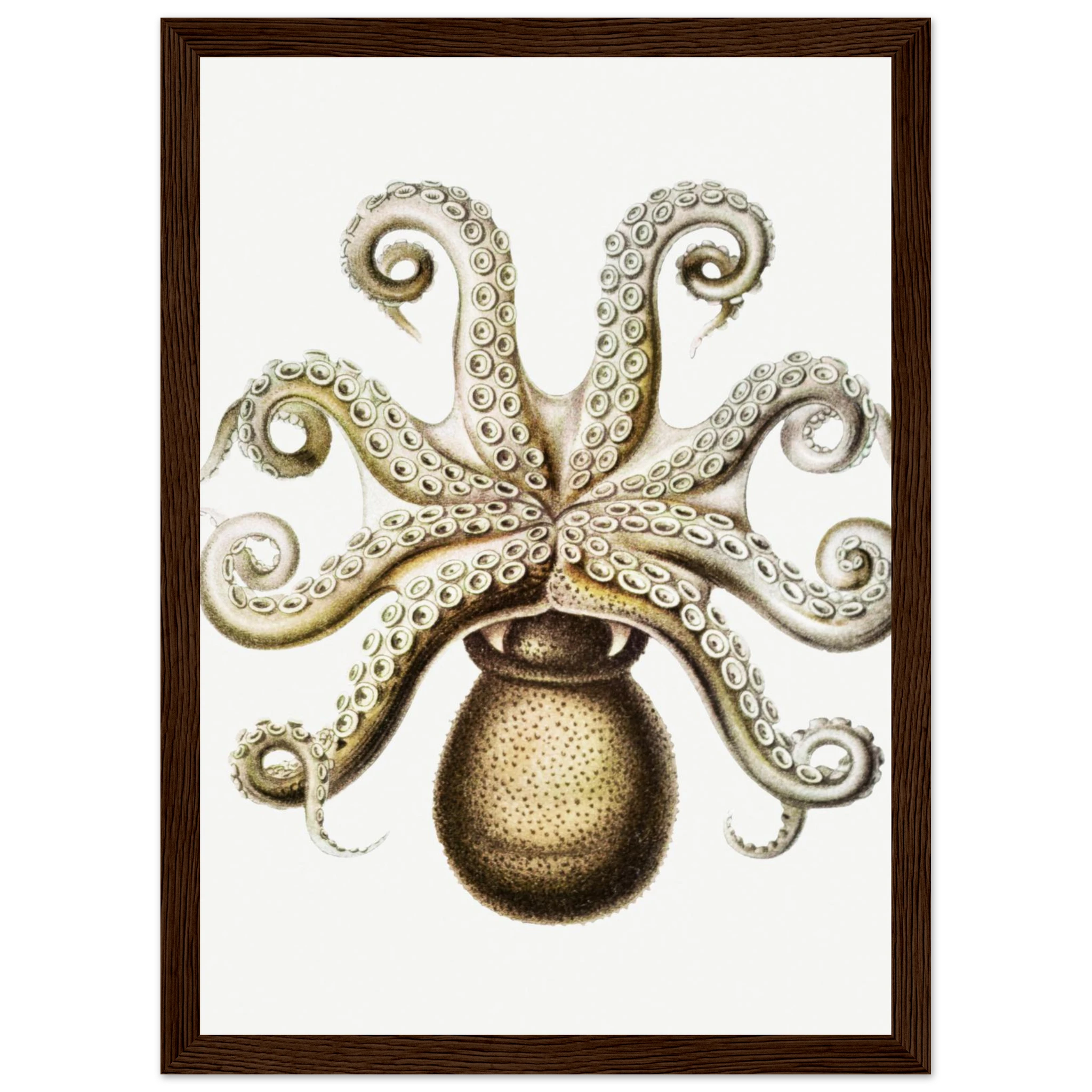 bf04e7bb-812b-4d16-b26e-86f14a1a8c69