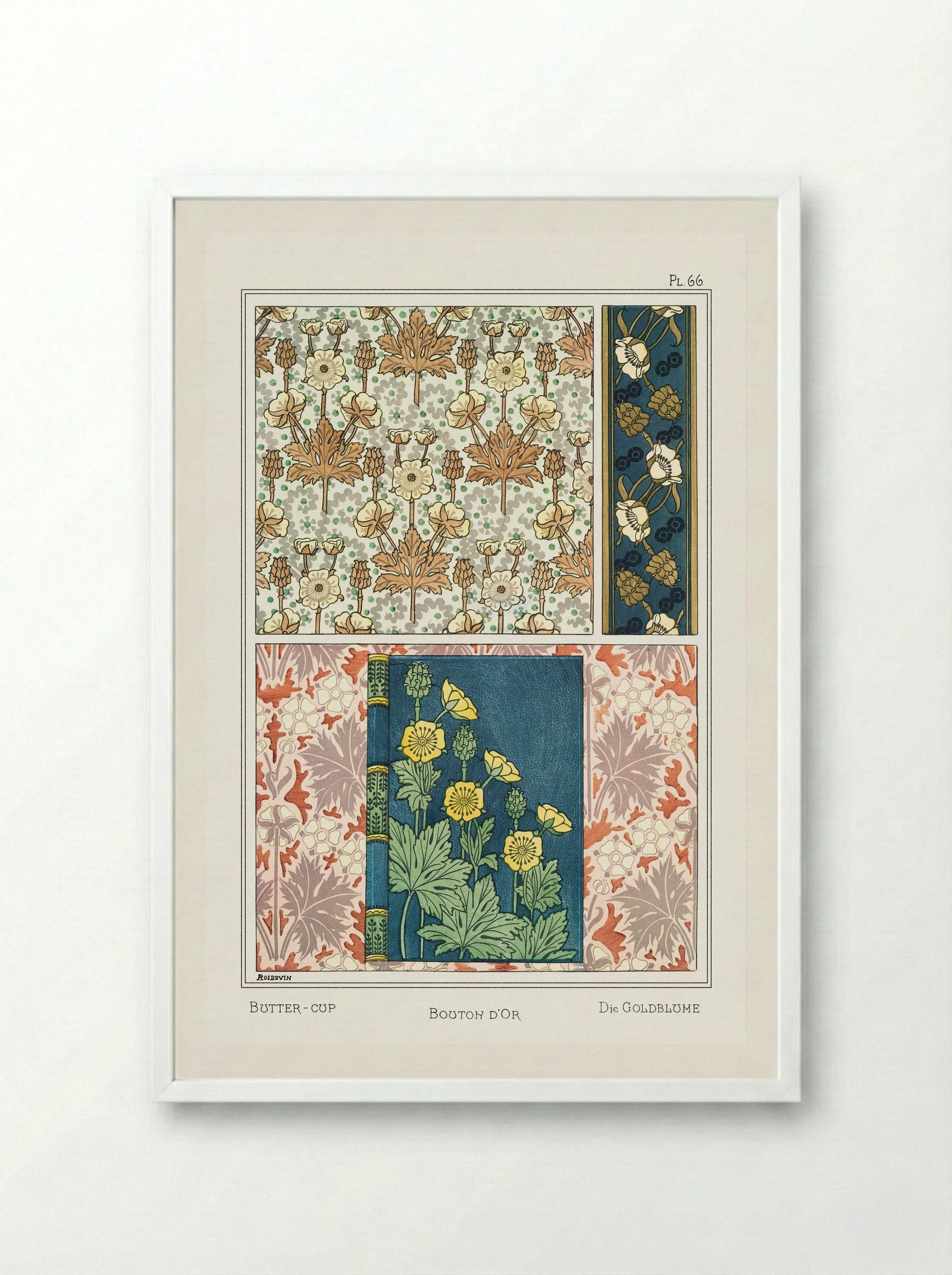 Bouton d'Or (Buttercup) from La Plante et ses Applications ornementales - Maurice Pillard Verneuil - Framed Print White