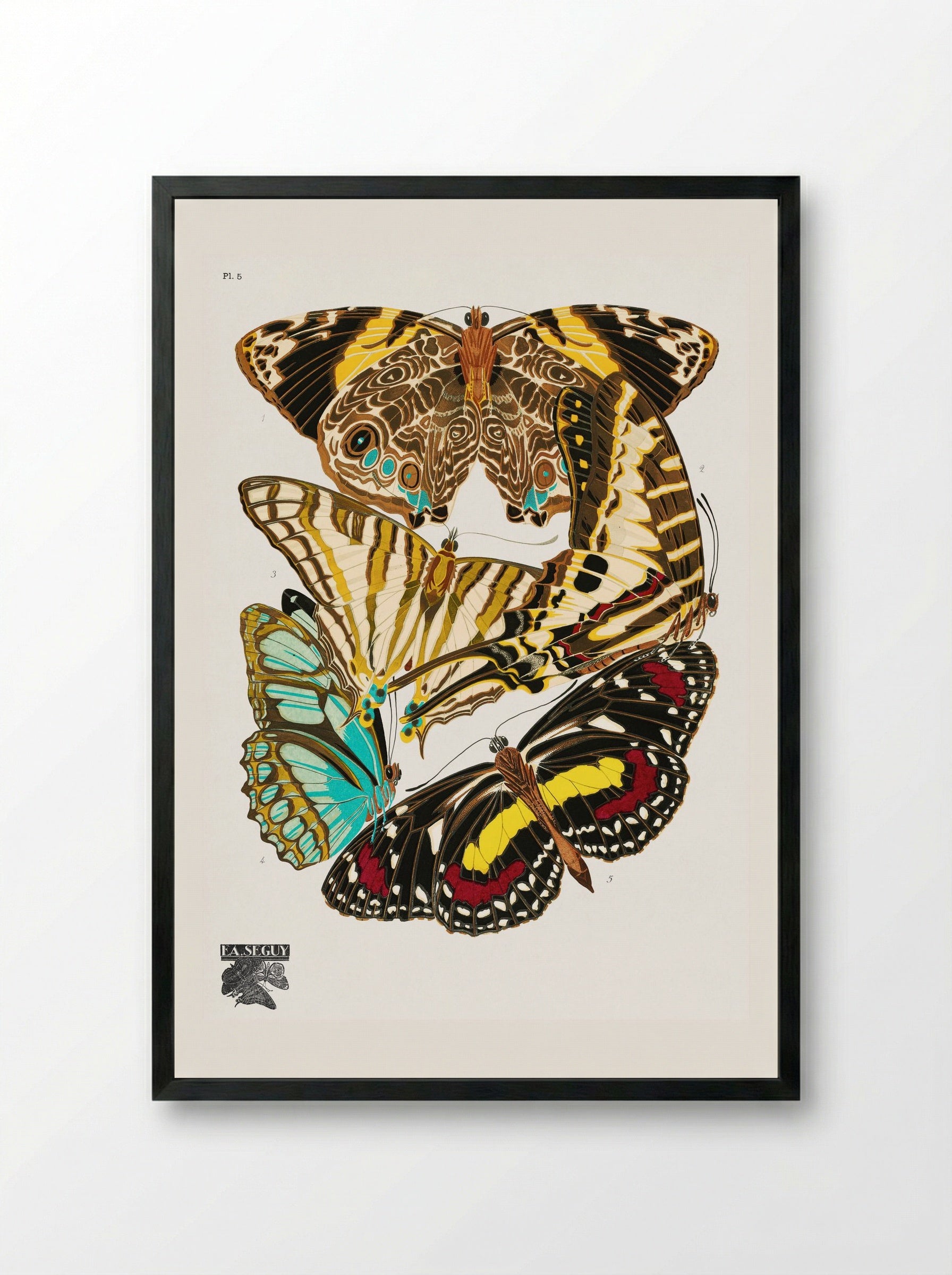 Butterflies, Plate 5 - Émile-Allain Séguy - Framed Print Black