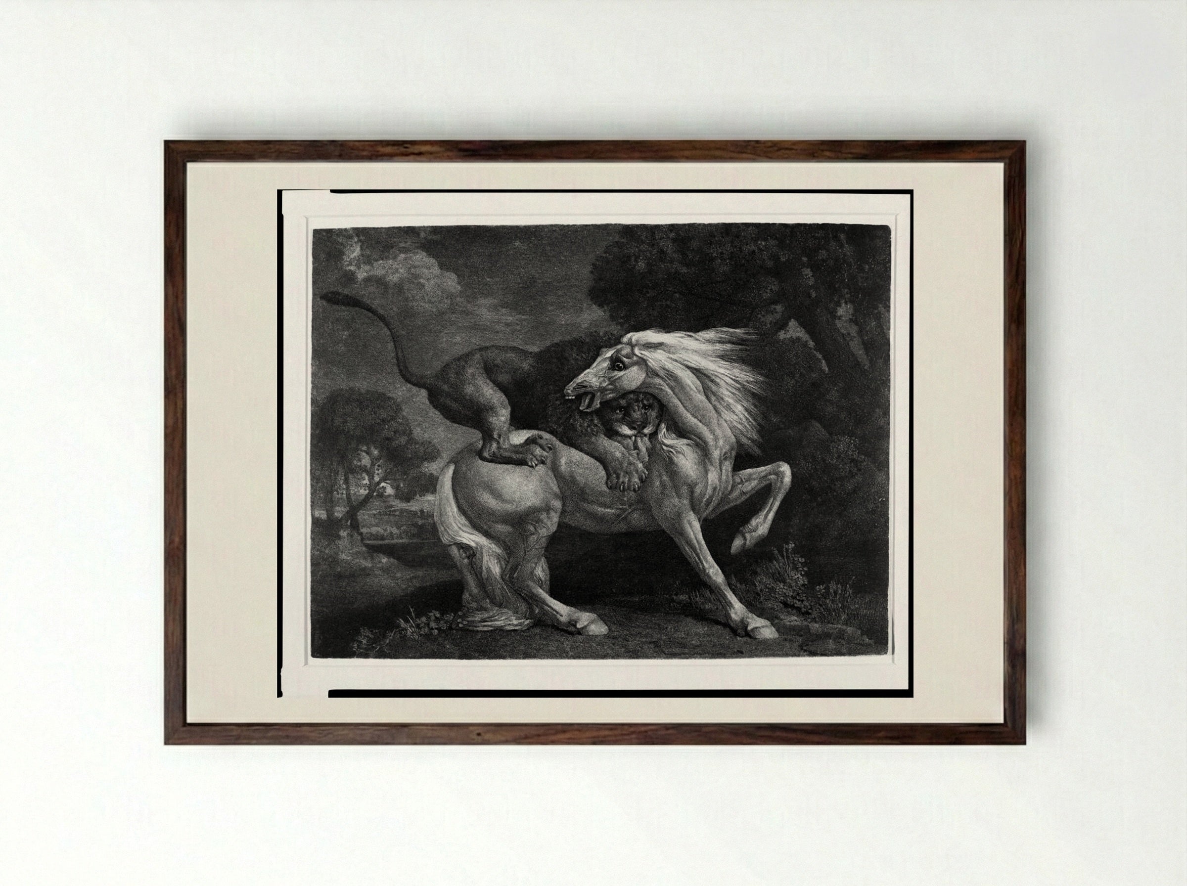 A Lion Devouring a Horse - George Stubbs - Framed Print Dark Wood