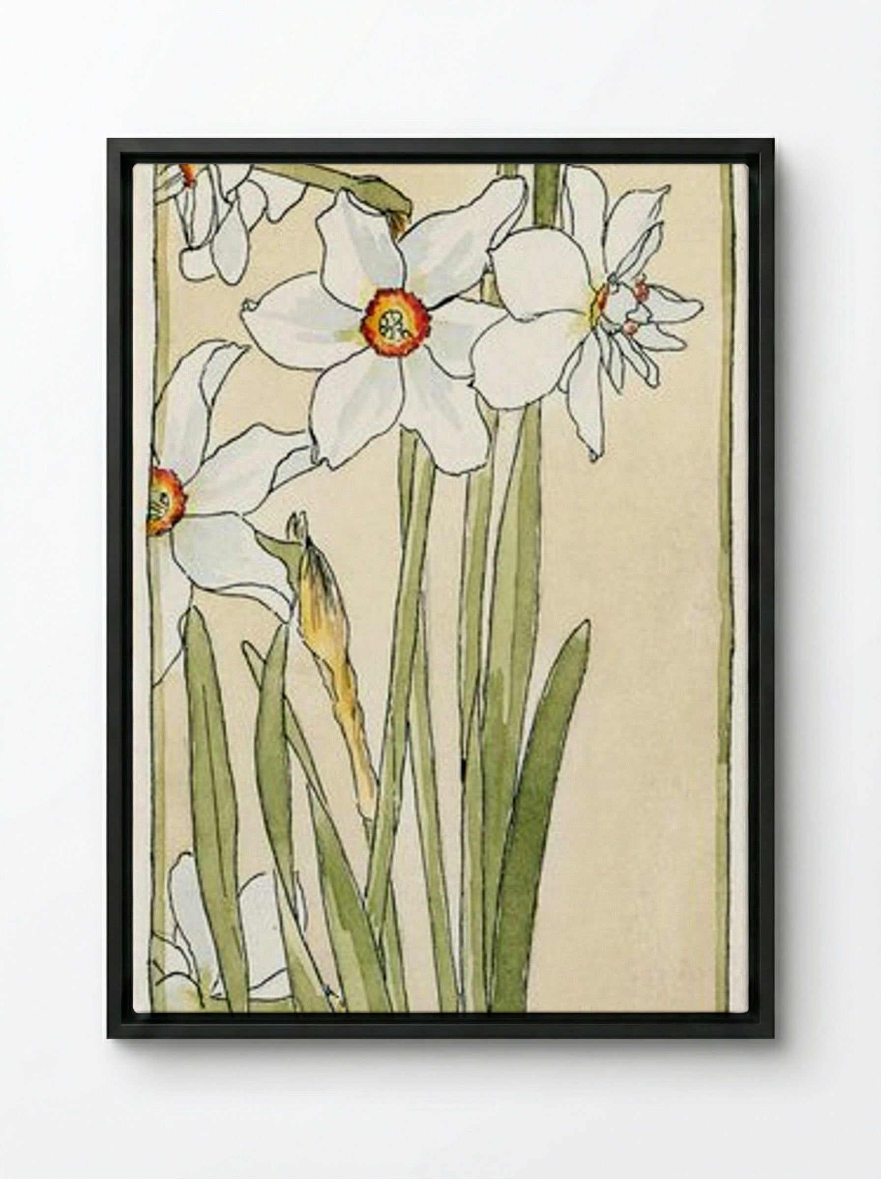 Poet's Narcissus - Hannah Borger Overbeck - Framed Canvas Black
