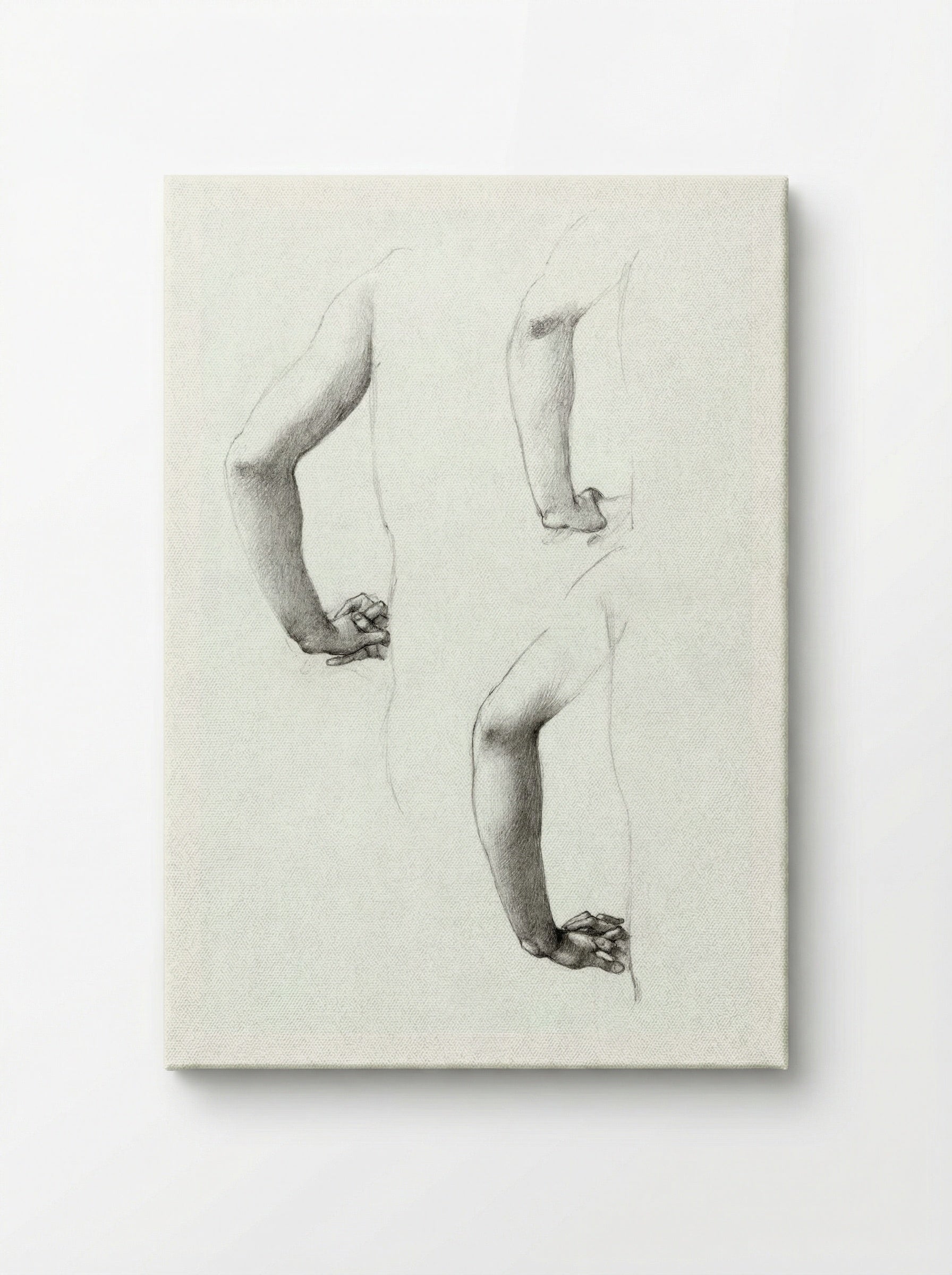 Studies of an Arm and Hands - Edward Burne-Jones - Canvas