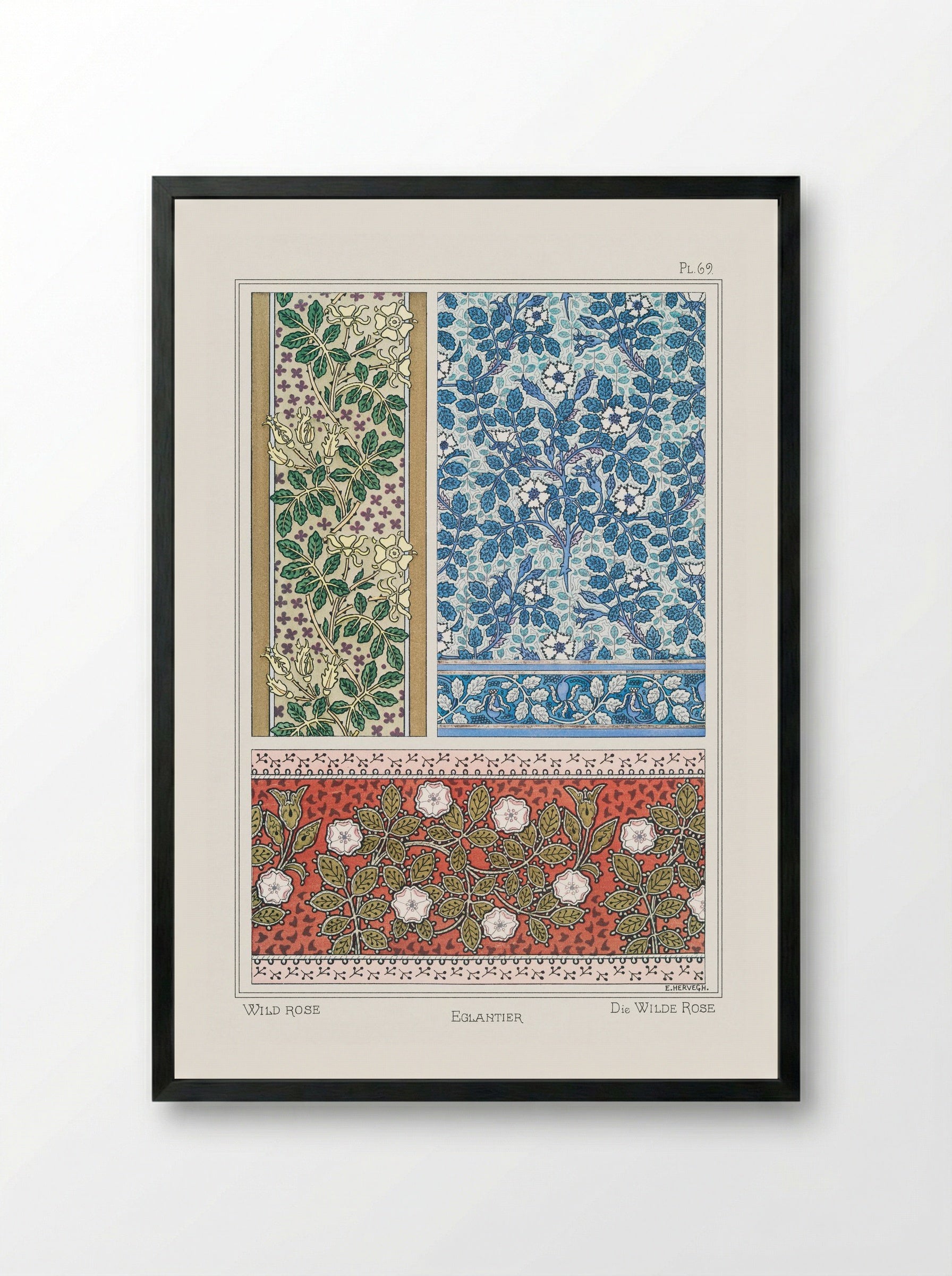 Eglantier (Wild Rose) from La Plante et ses Applications ornementales - Maurice Pillard Verneuil - Framed Print Black