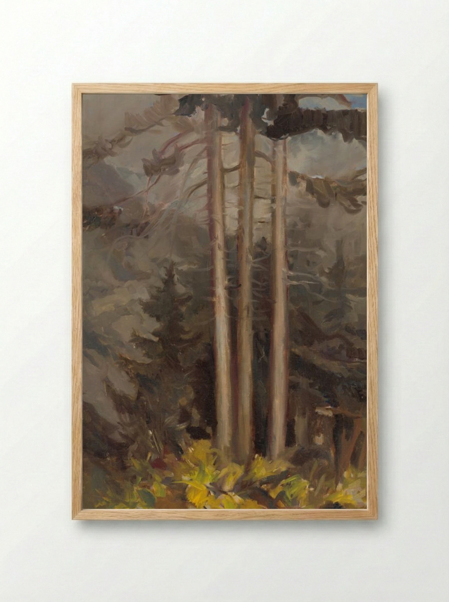 Spruce - Zolo Palugyay - Framed Print Wood