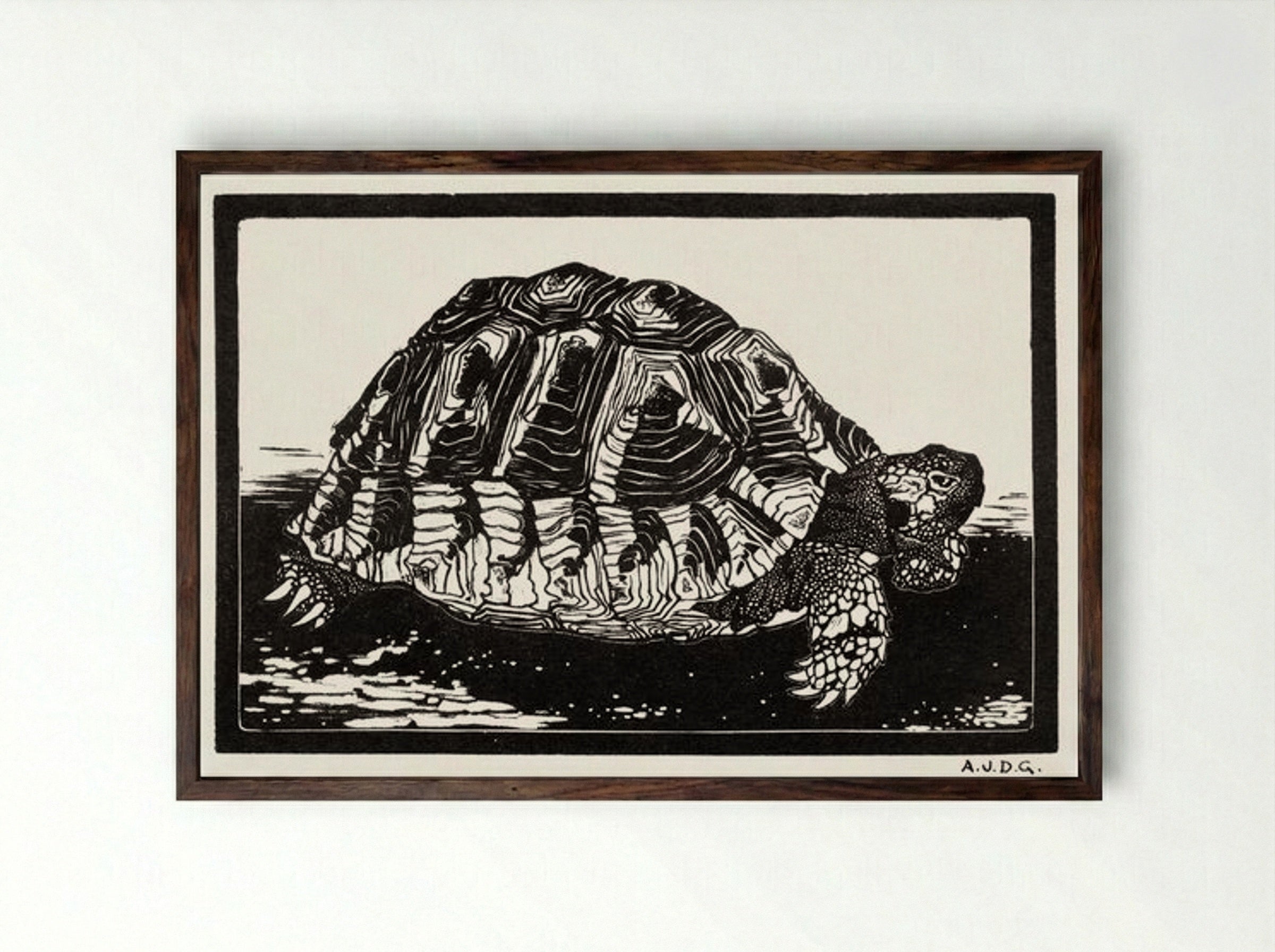 Turtle - Julie de Graag - Framed Print Dark Wood