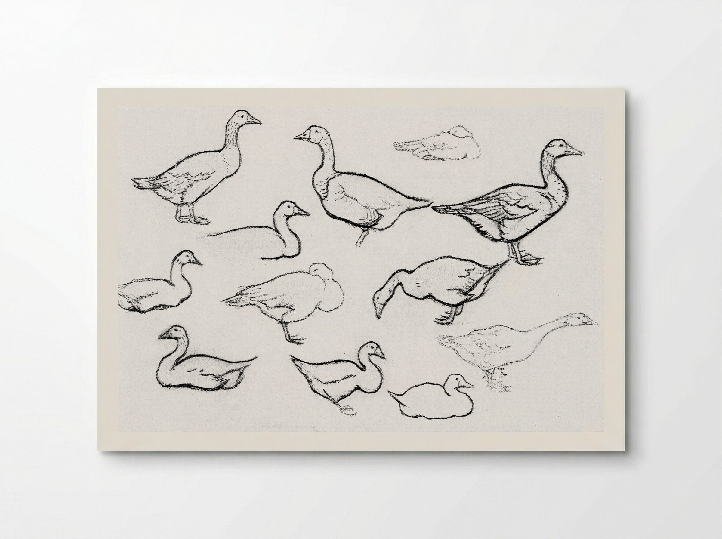 Study of Geese - Julie de Graag - Poster