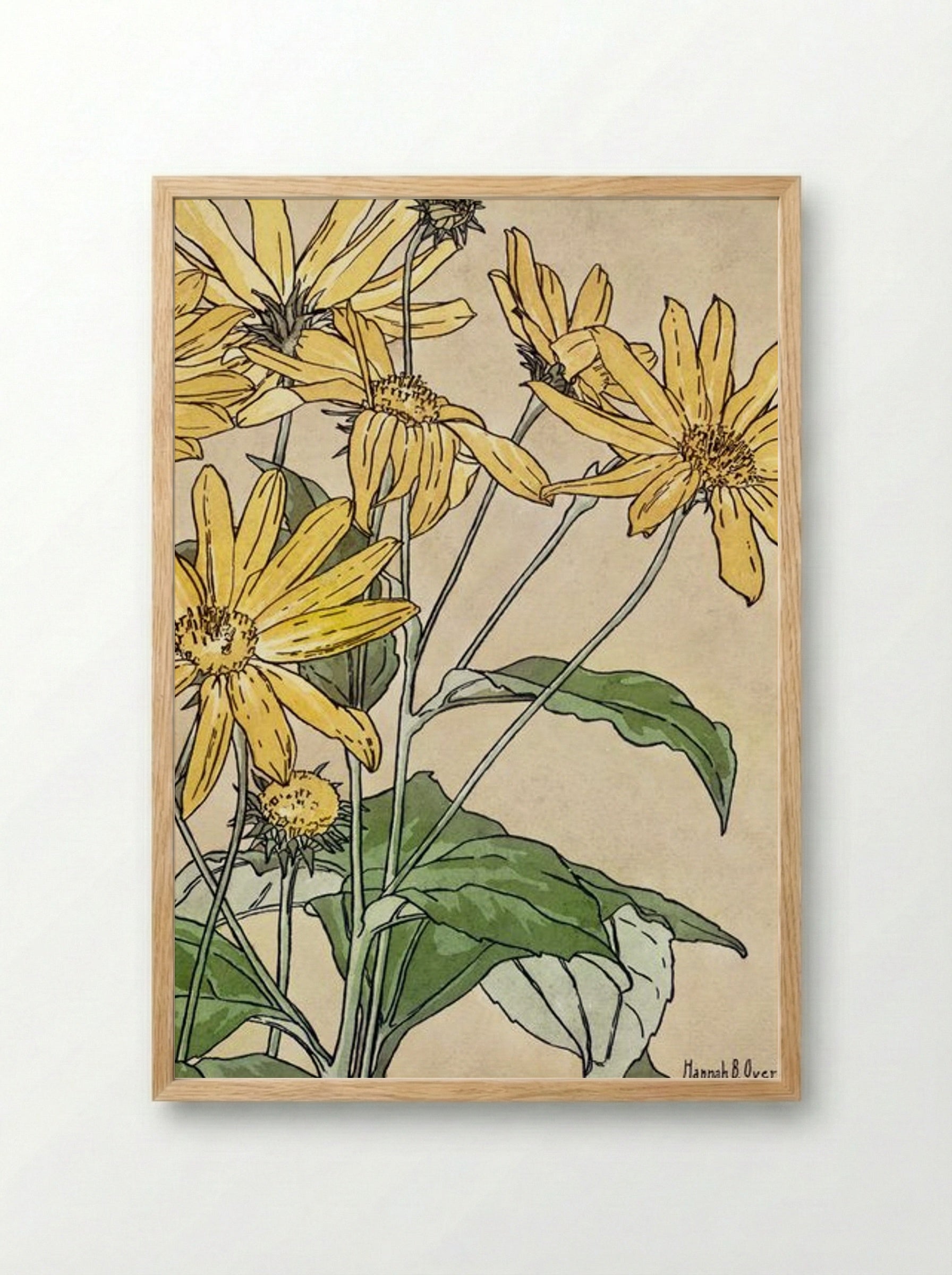 Sunflowers - Hannah Borger Overbeck - Framed Print Wood