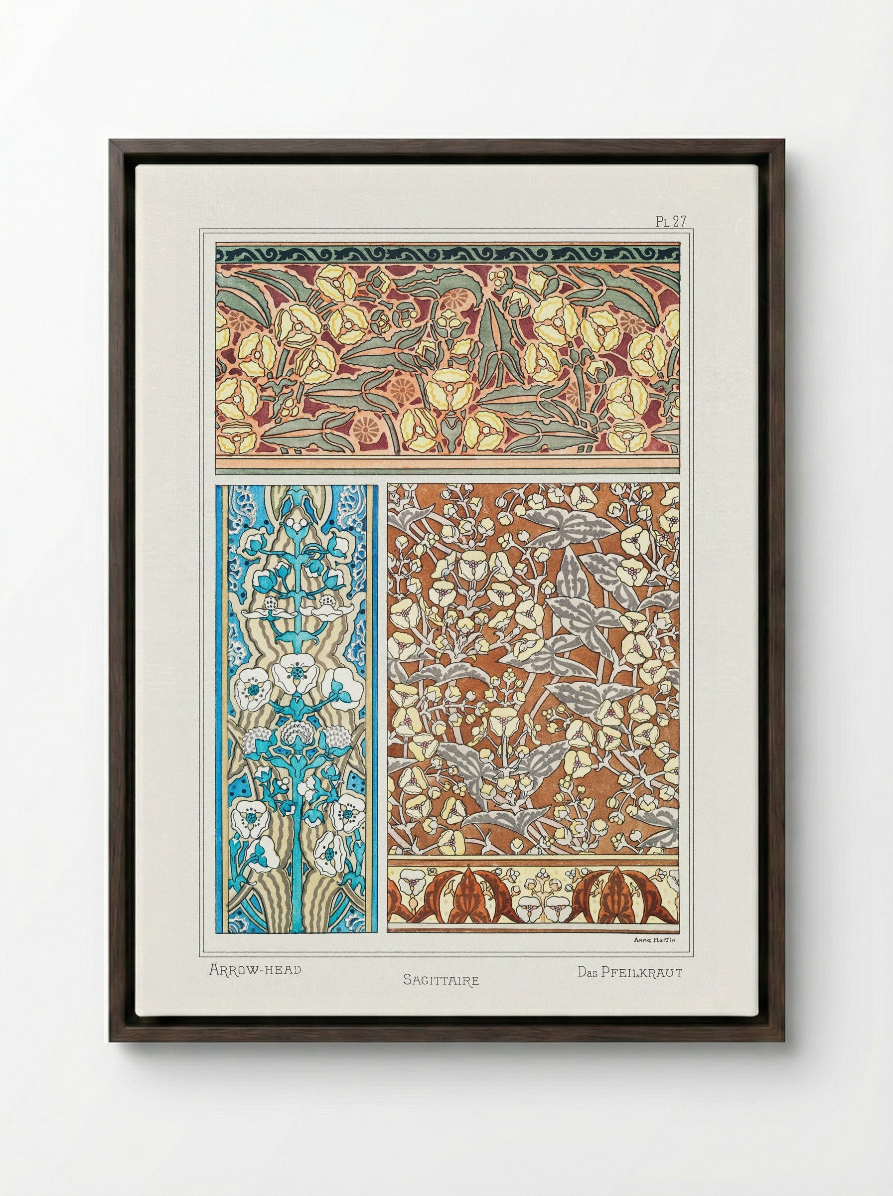 Sagittaire (Arrowhead) from La Plante et ses Applications ornementales - Maurice Pillard Verneuil - Framed Canvas Dark Wood