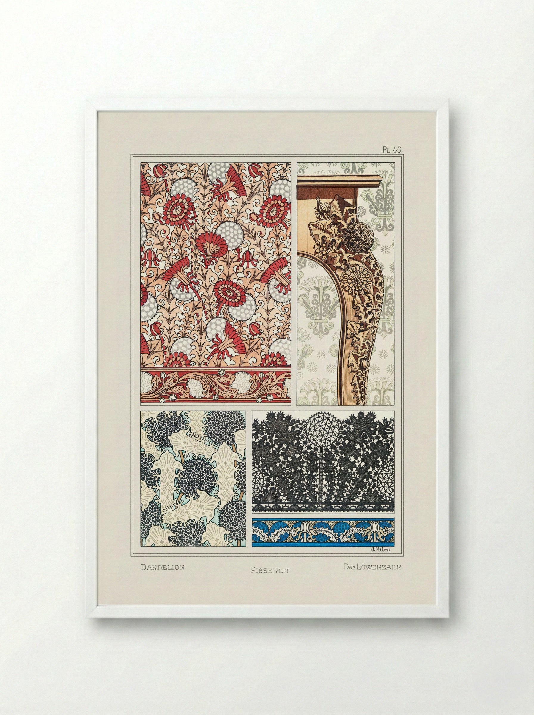 Pissenlit (Dandelion) from La Plante et ses Applications ornementales - Maurice Pillard Verneuil - Framed Print White