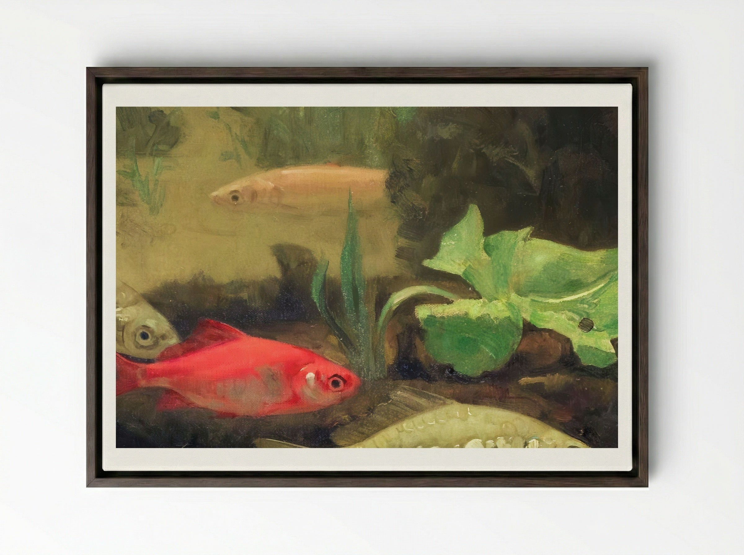 Gold and Silverfish in an Aquarium - Gerrit Willem Dijsselhof - Framed Canvas Dark Wood