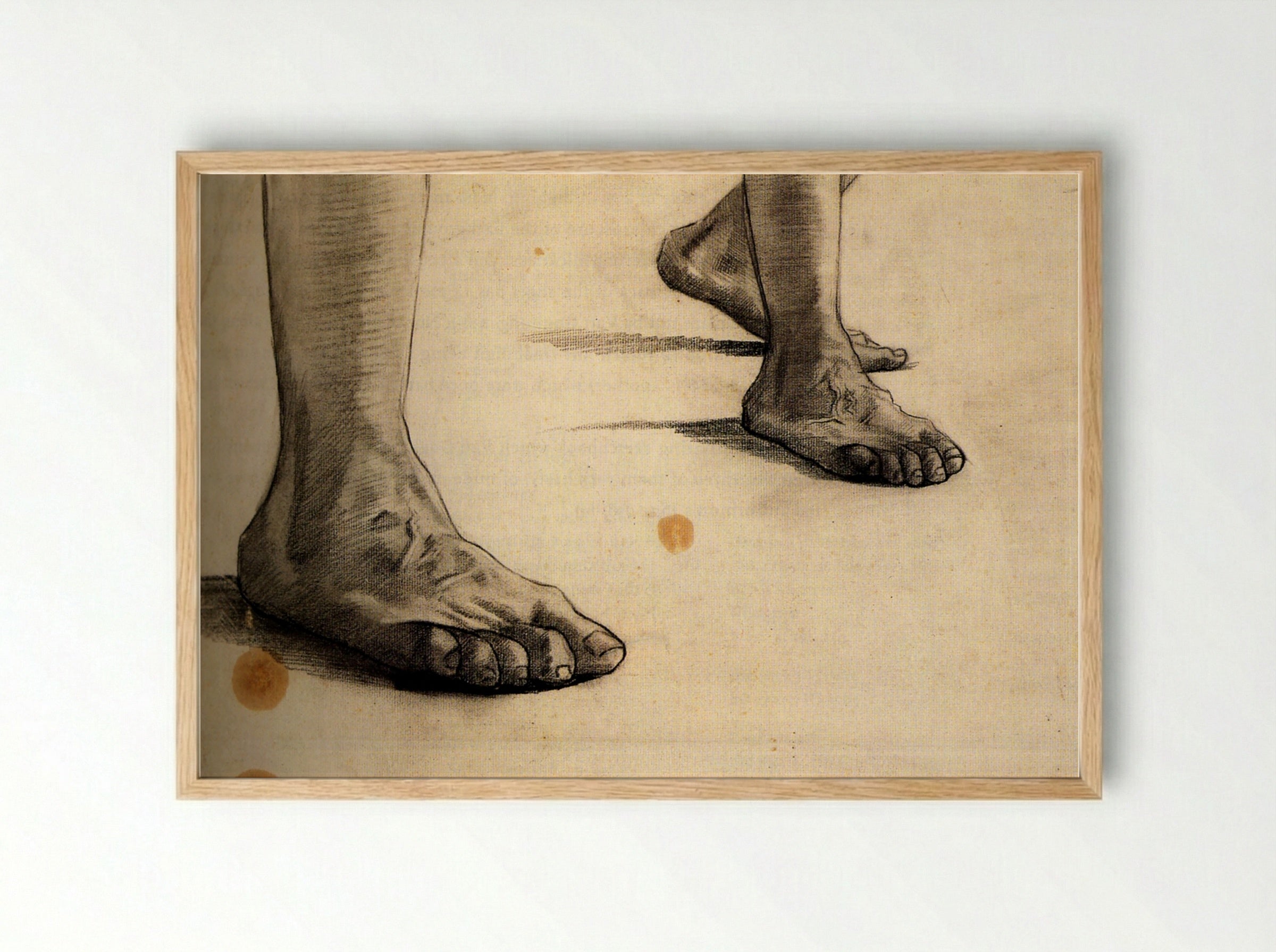 Study of Feet (Anatomical Drawing) - Fine Art Print - Framed Print Wood