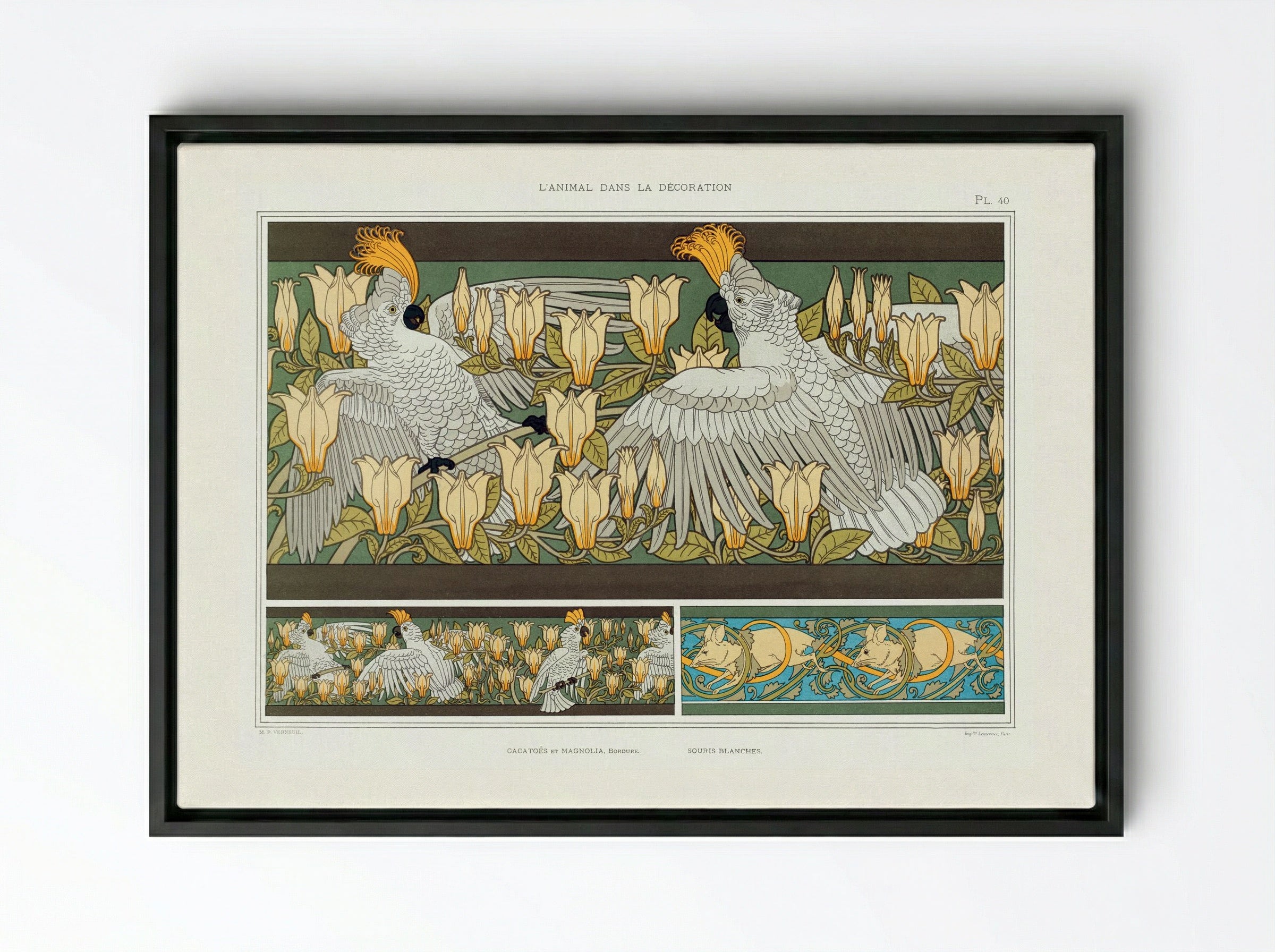 Cacatoès et Magnolia, Bordure; Souris Blanches - Maurice Pillard Verneuil - Framed Canvas Black