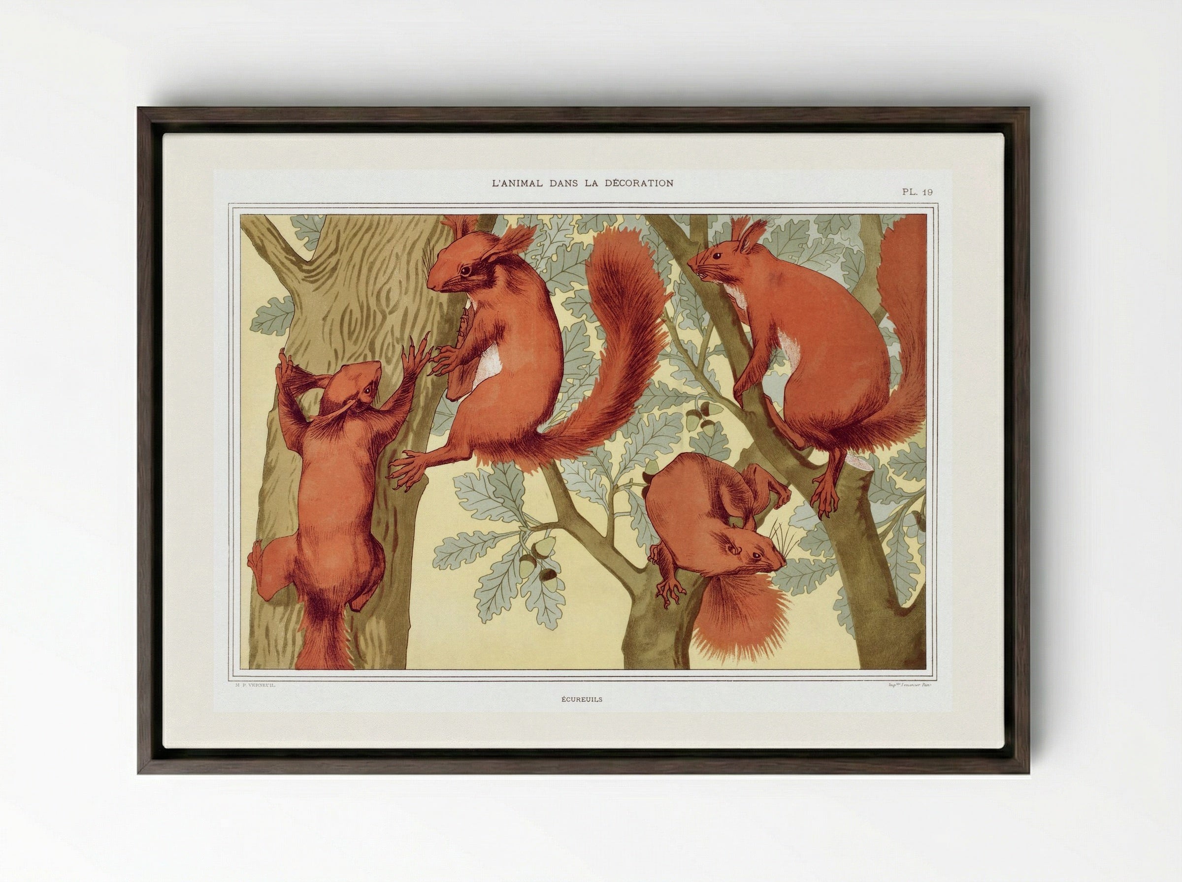 Écureuils (Squirrels) from L'animal dans la décoration - Maurice Pillard Verneuil - Framed Canvas Dark Wood