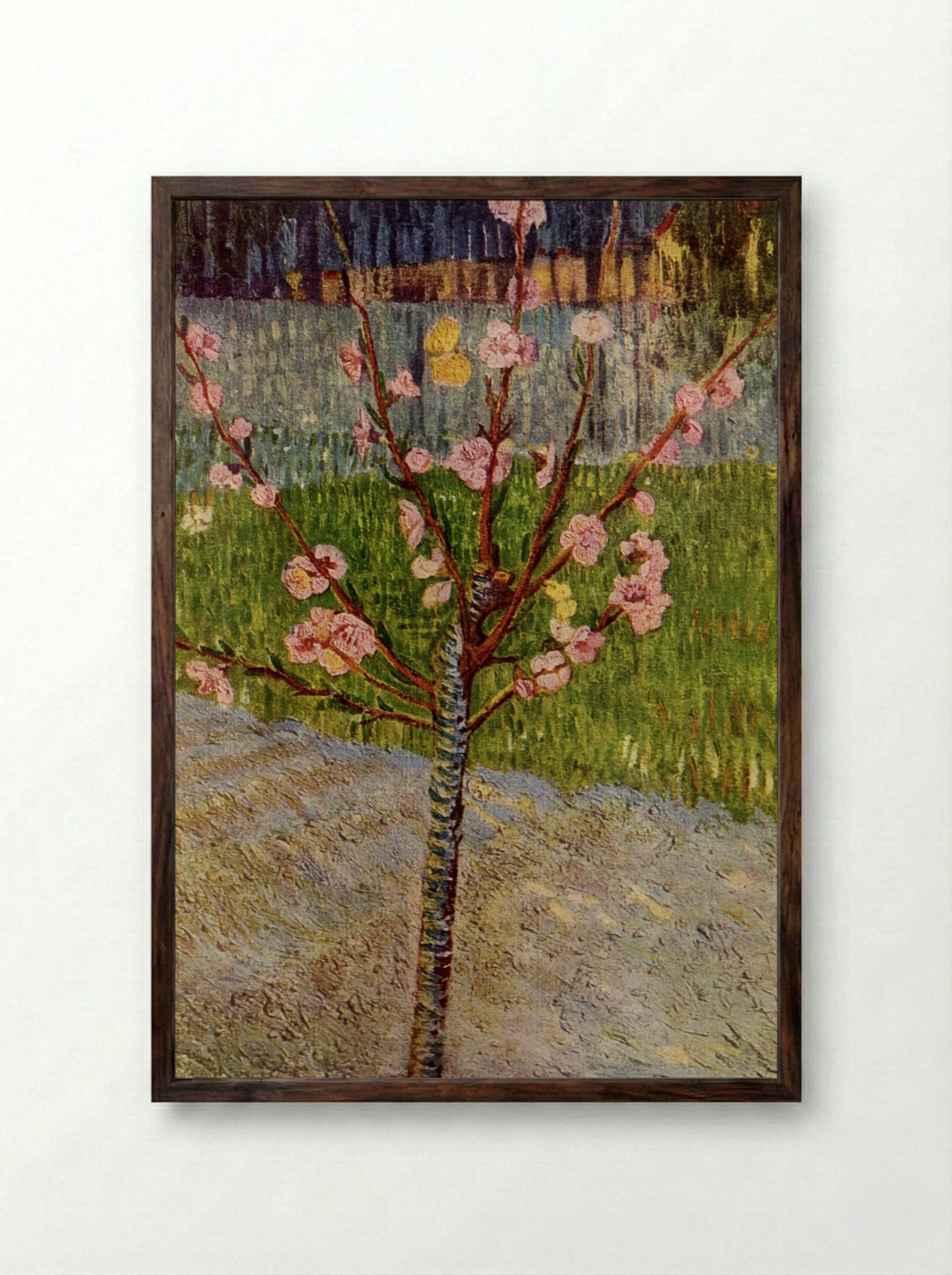 Almond Blossom - Vincent van Gogh - Framed Print Dark Wood