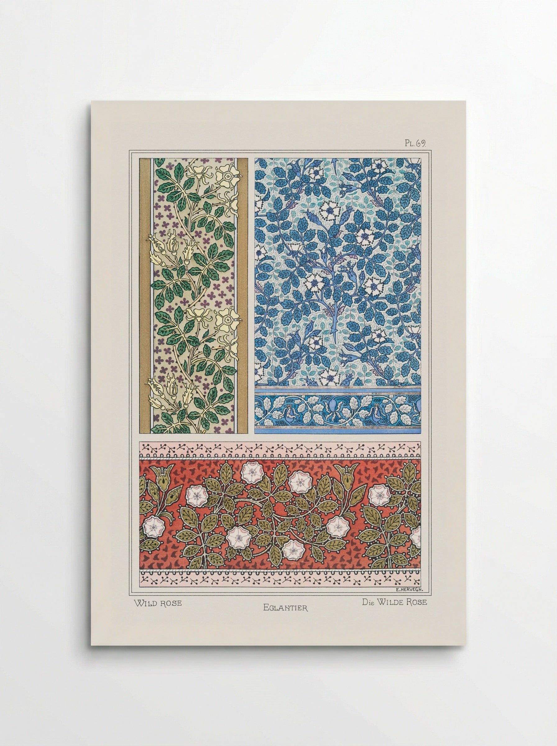 Eglantier (Wild Rose) from La Plante et ses Applications ornementales - Maurice Pillard Verneuil - Poster