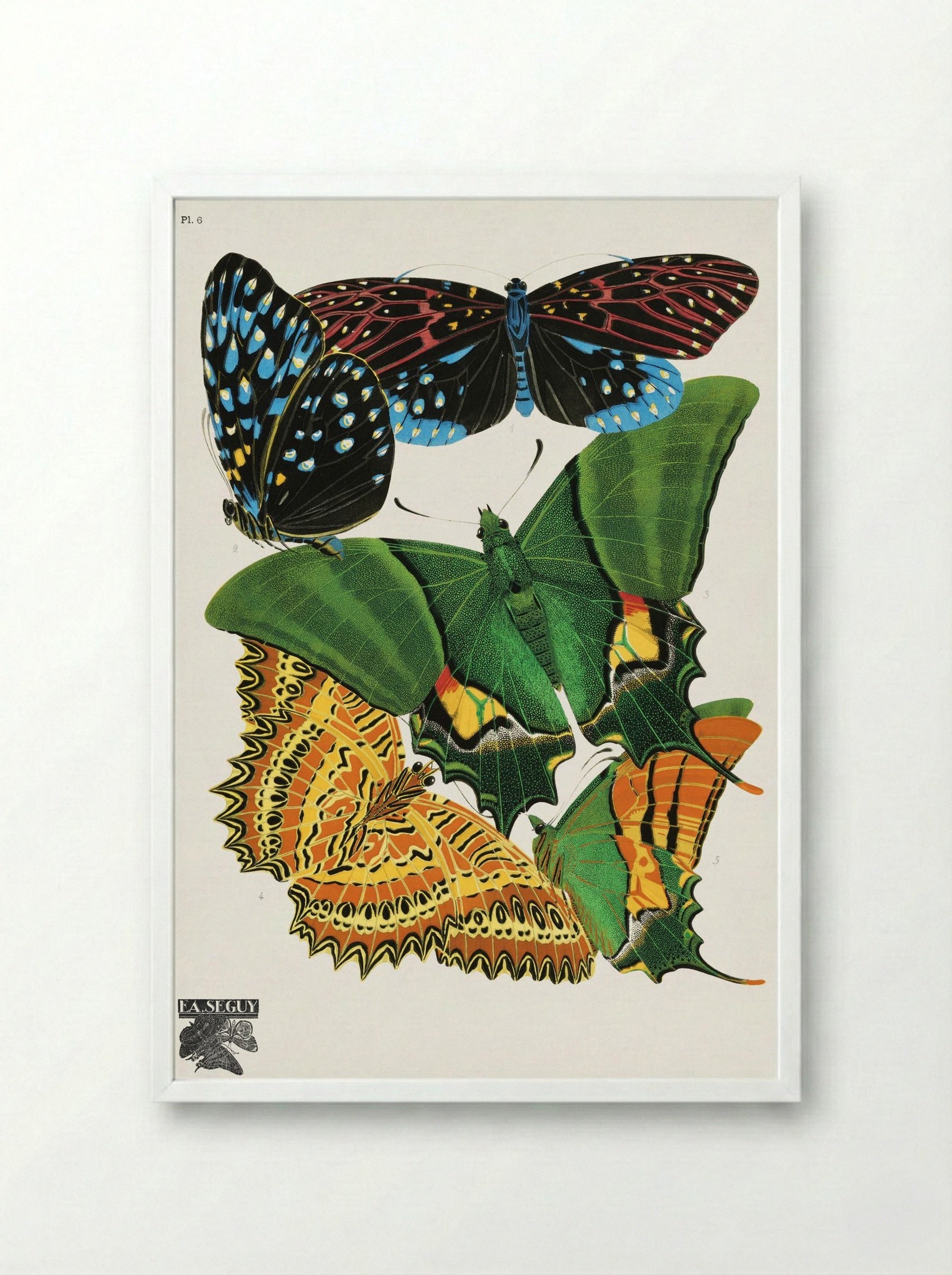 Butterflies, Plate 6 - Eugène Alain Séguy - Framed Print White