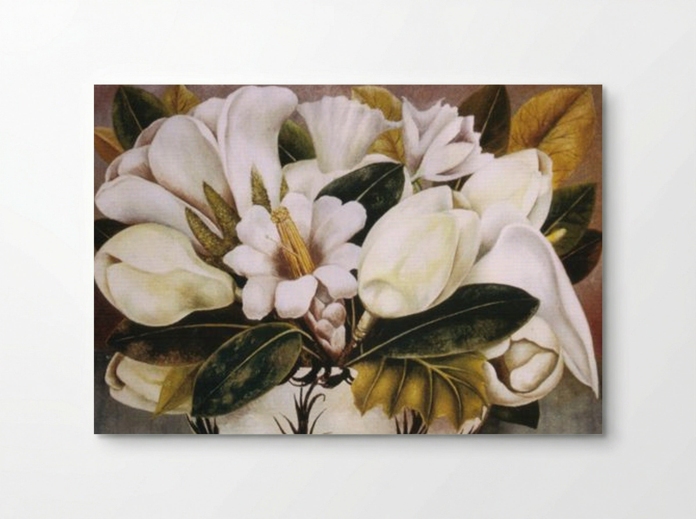 Magnolias - Vida Kullberg - Poster
