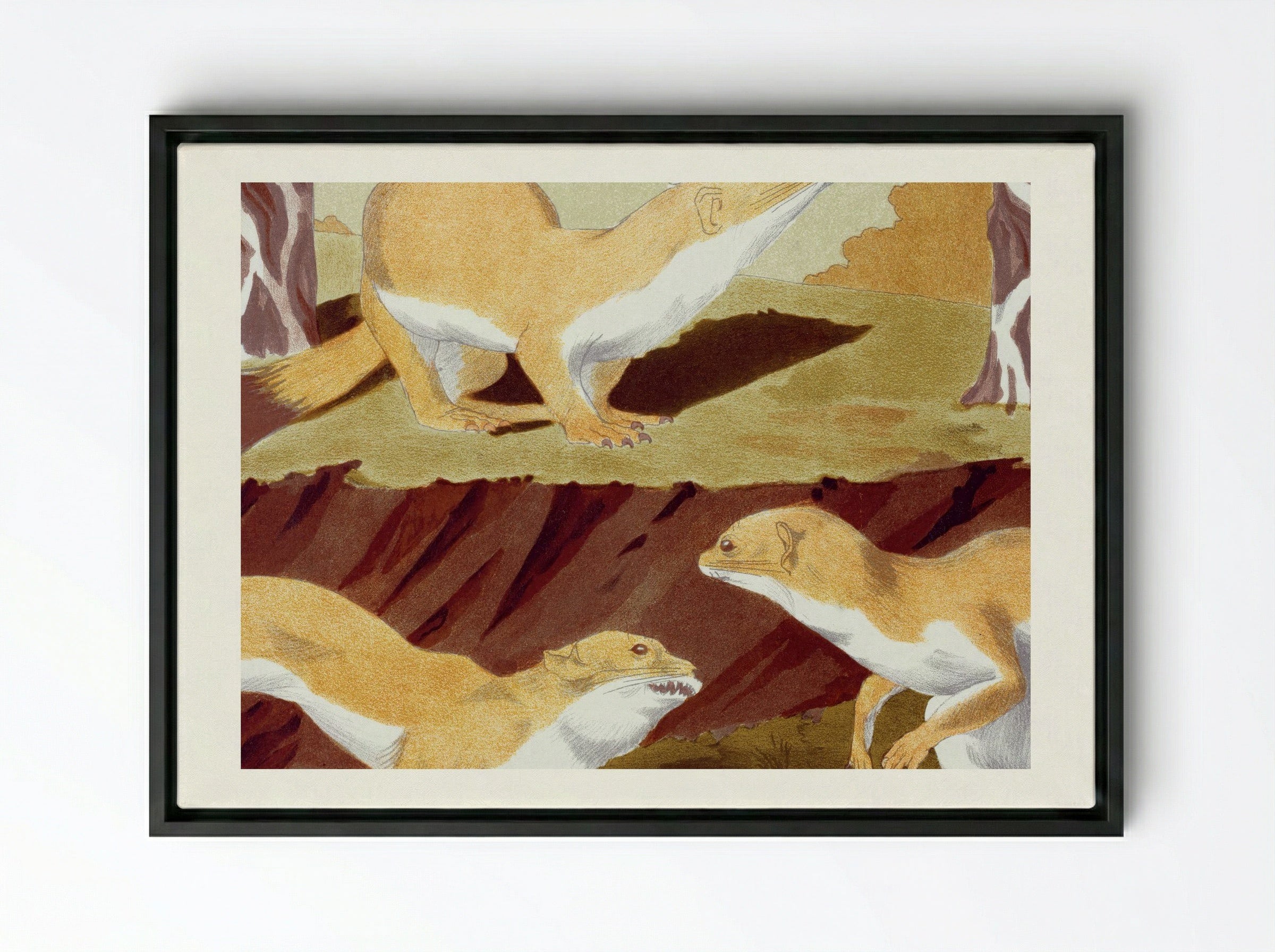 Hermines Vulgaires (Common Stoats) - Maurice Pillard Verneuil - Framed Canvas Black