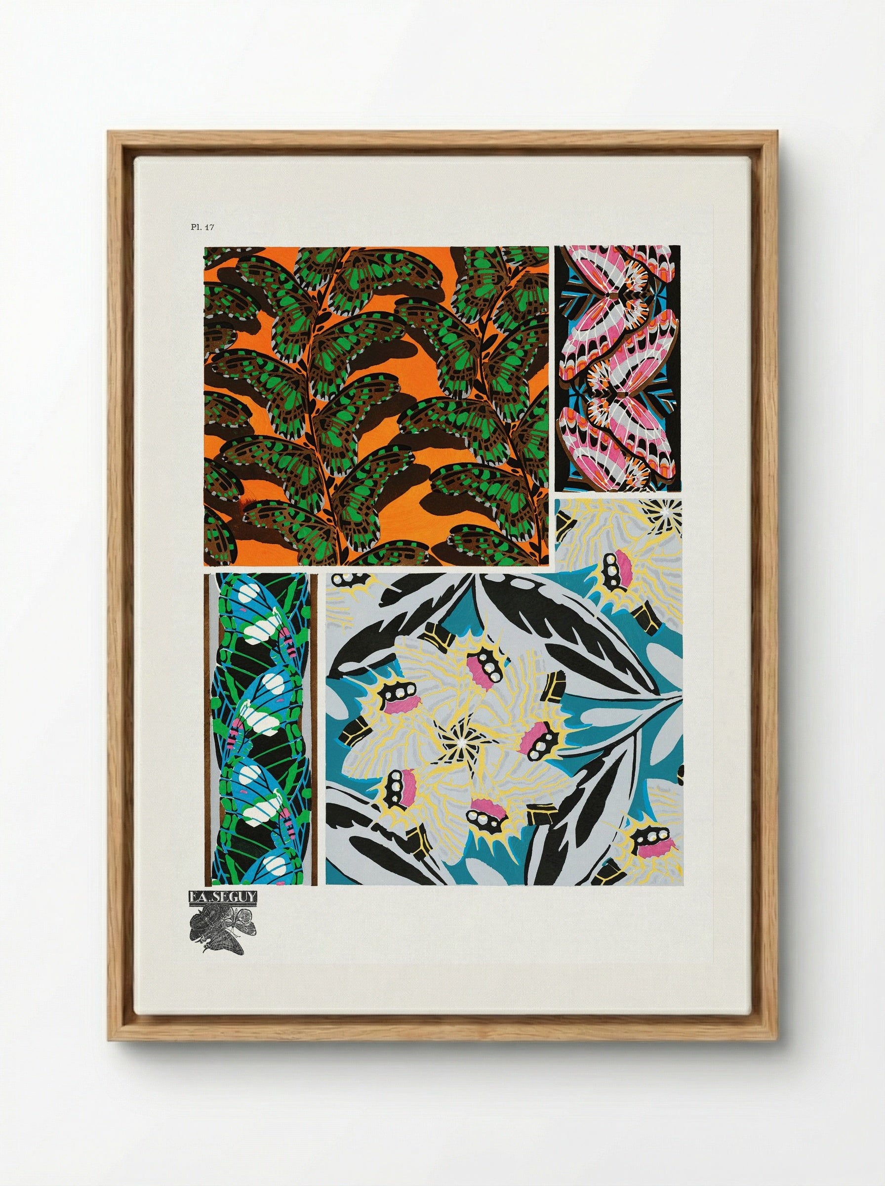 Butterflies Pattern Plate 17 - Émile-Allain Séguy - Framed Canvas Wood