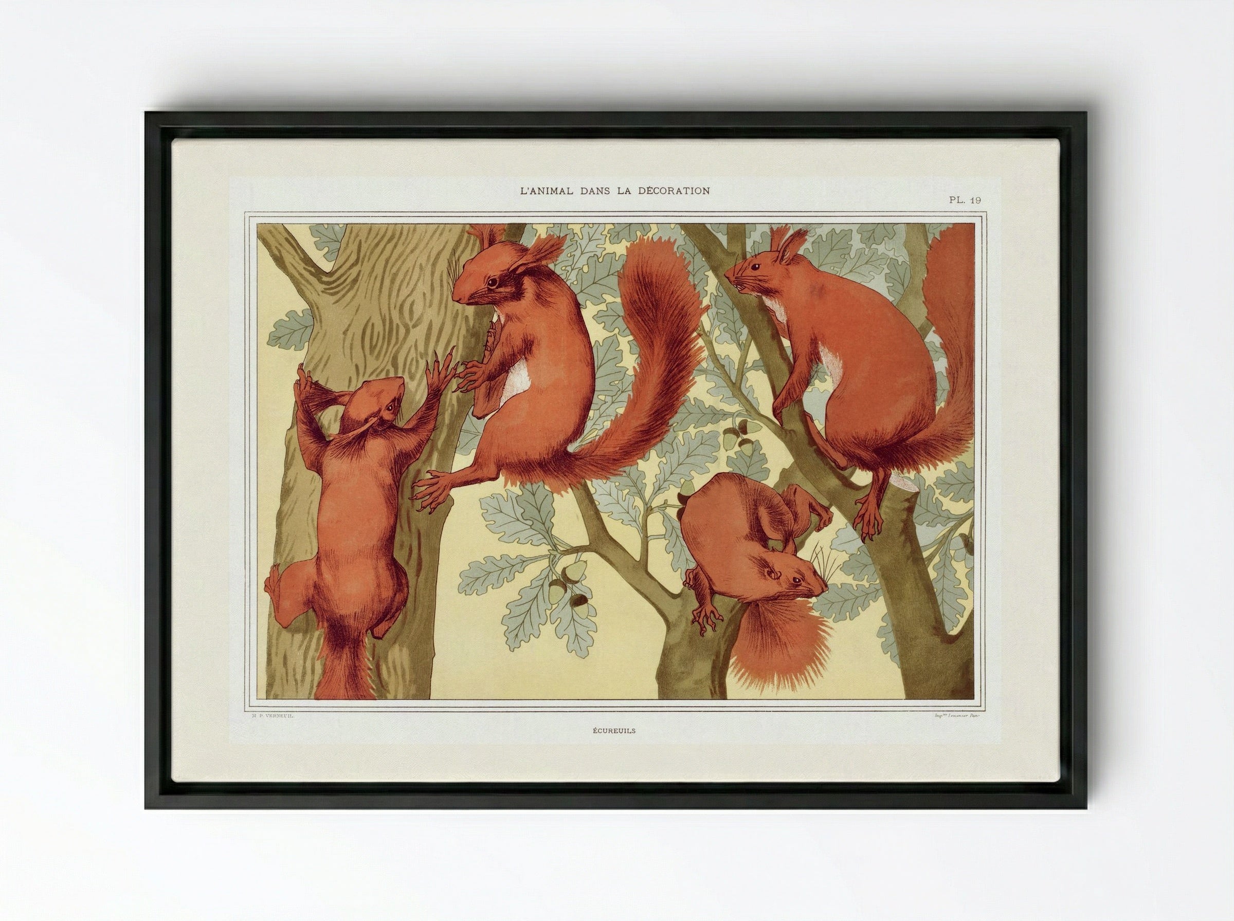 Écureuils (Squirrels) from L'animal dans la décoration - Maurice Pillard Verneuil - Framed Canvas Black