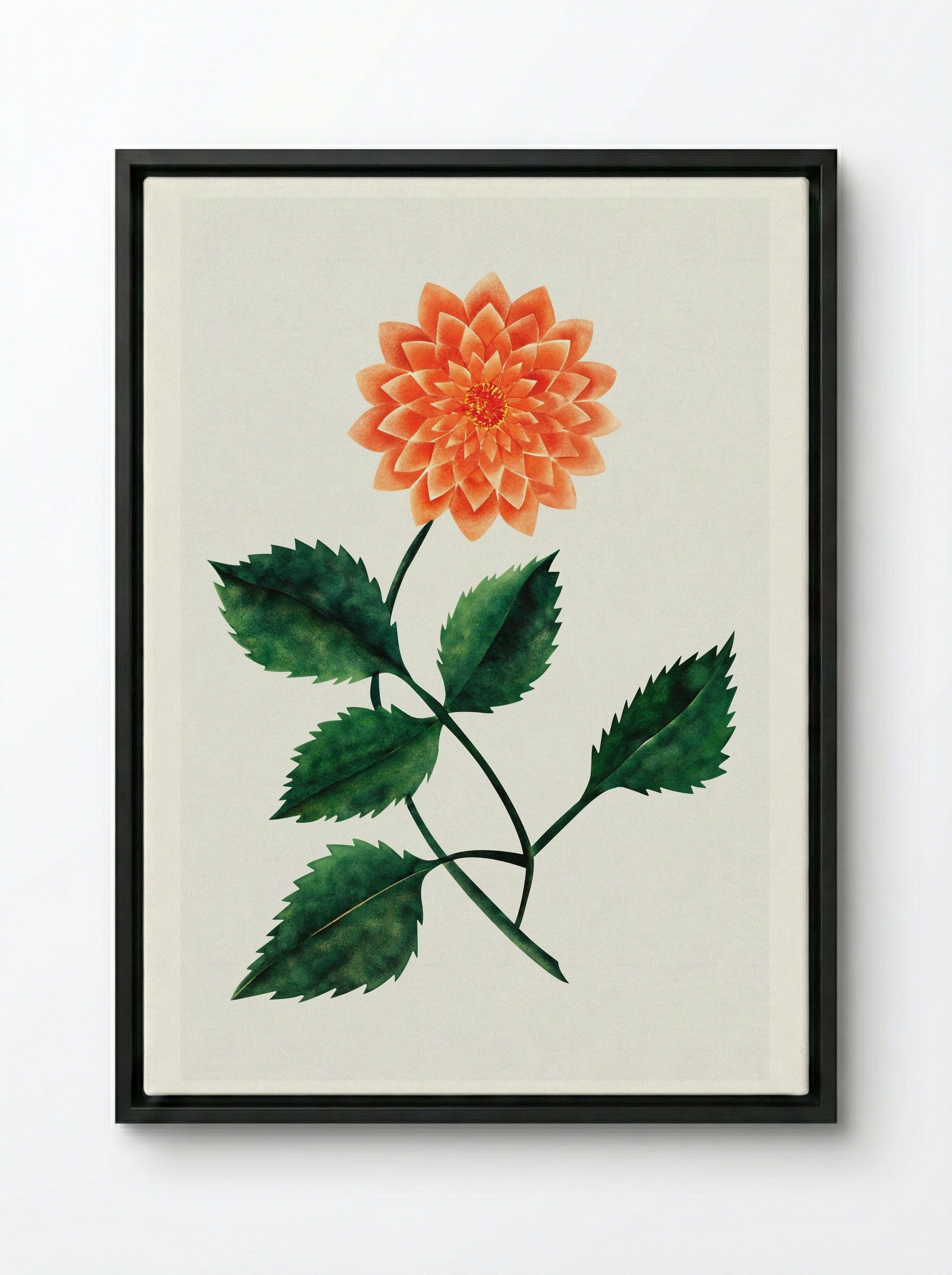 Dahlia - Mary Altha Nims - Framed Canvas Black