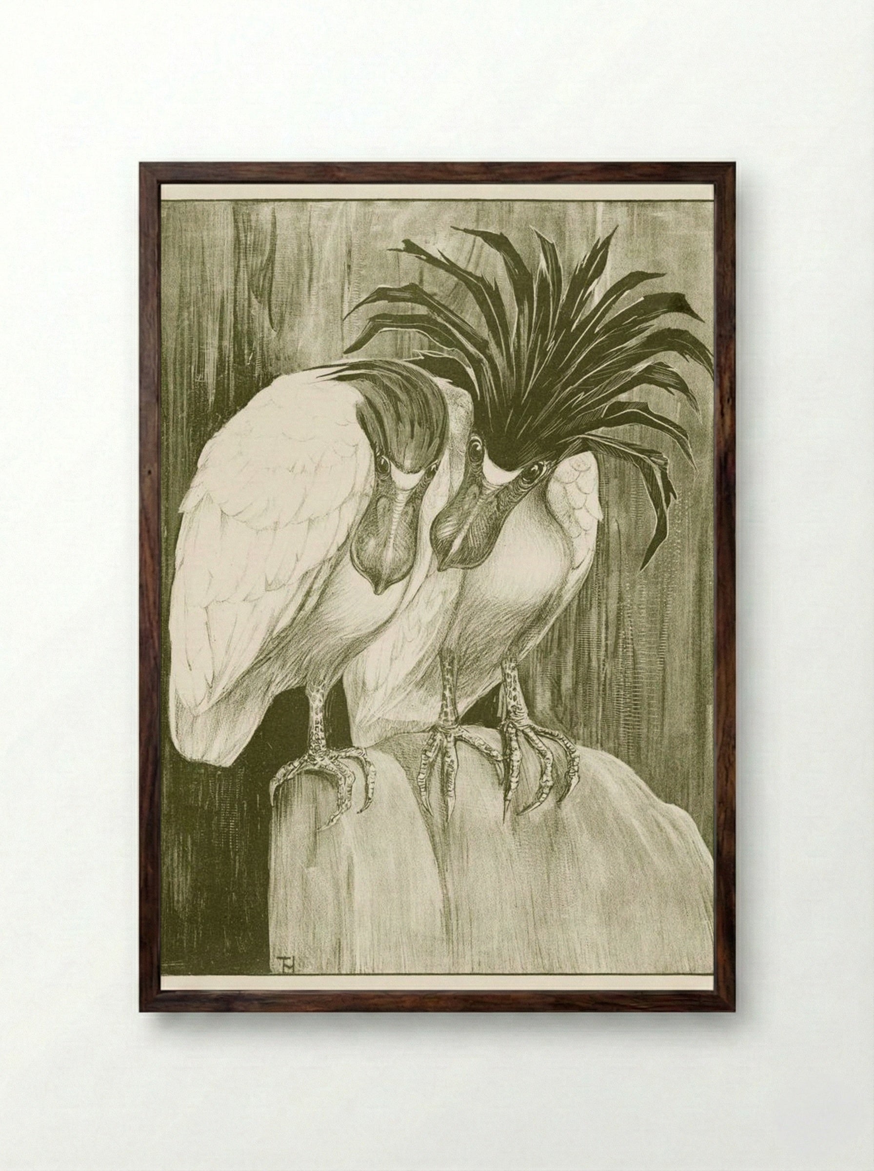 Two Boat-billed Herons - Theo van Hoytema - Framed Print Dark Wood