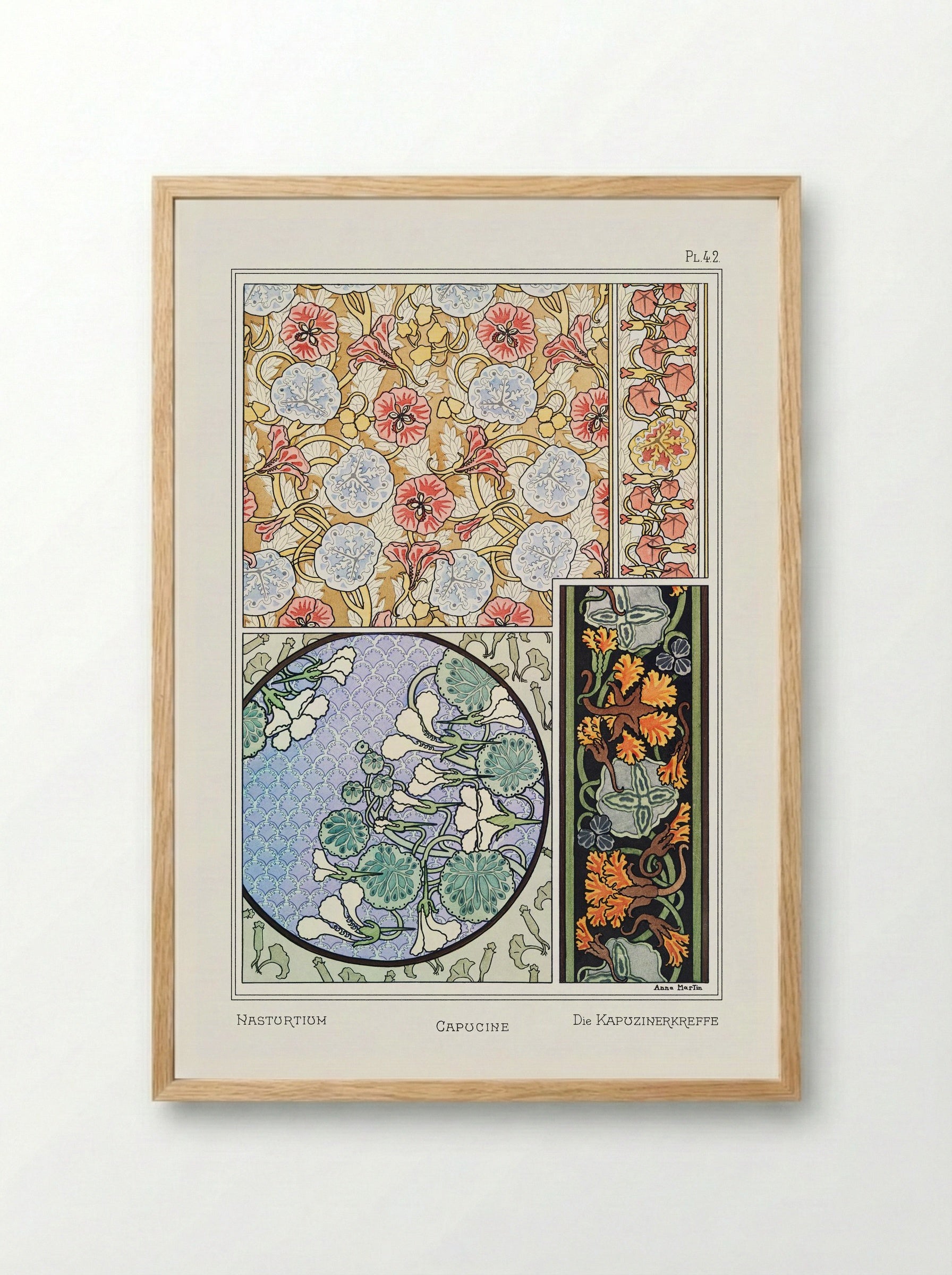 Capucine (Nasturtium) from La Plante et ses Applications ornementales - Maurice Pillard Verneuil - Framed Print Wood