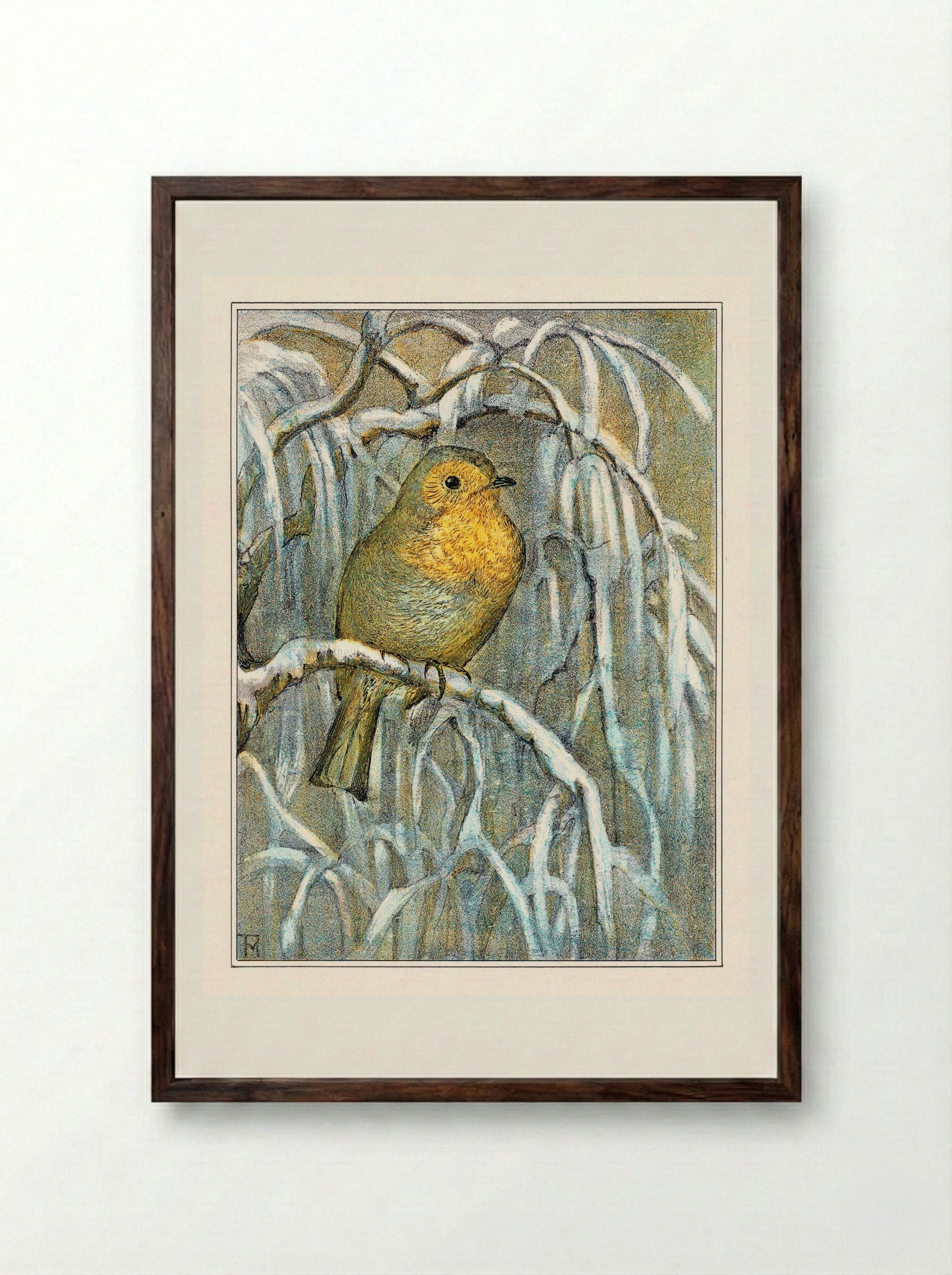 Robin on Snowy Branch - Theo van Hoytema - Framed Print Dark Wood